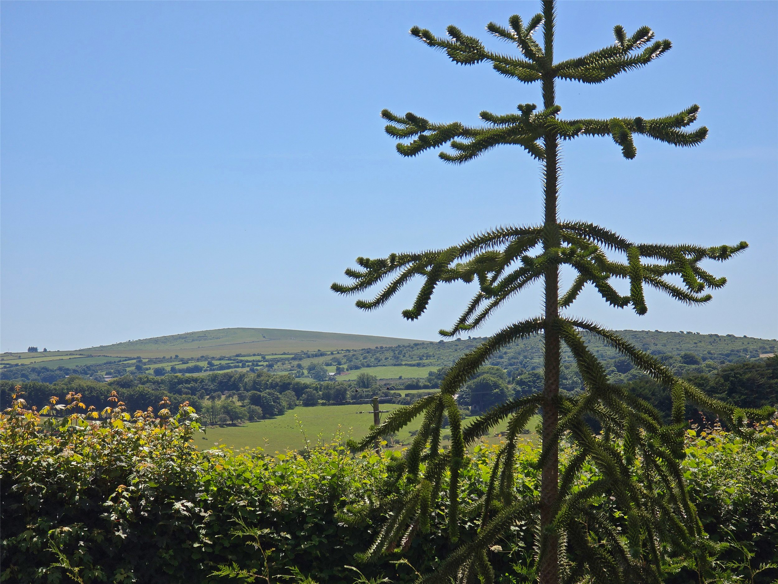 Laneast, Launceston, Cornwall, PL15, photo 23