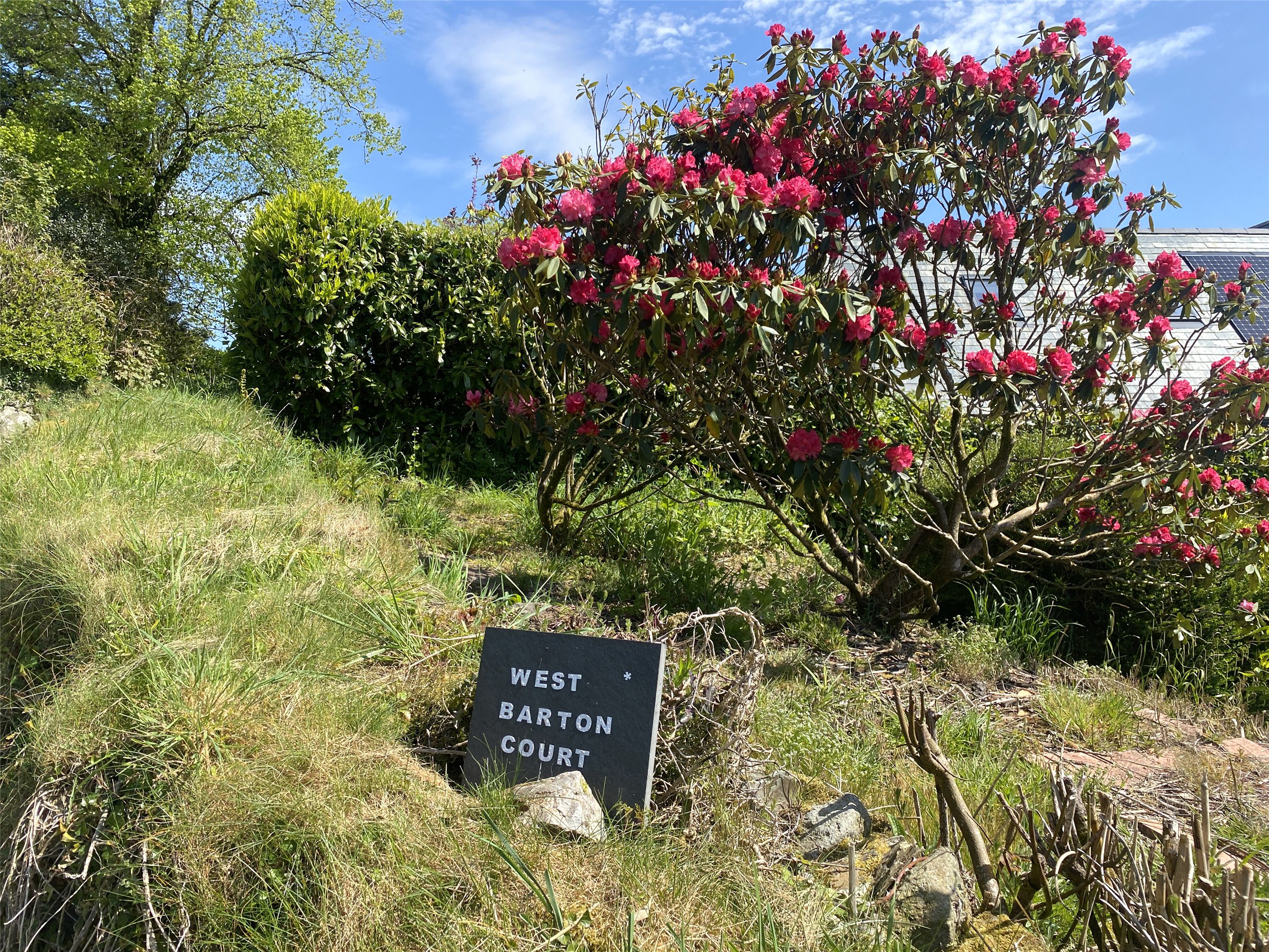Laneast, Launceston, Cornwall, PL15, photo 20