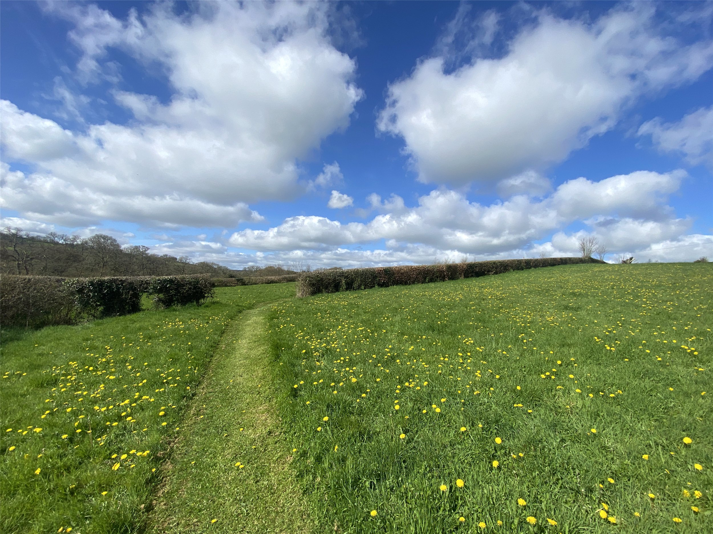 Yeolmbridge, Launceston, Cornwall, PL15, photo 20