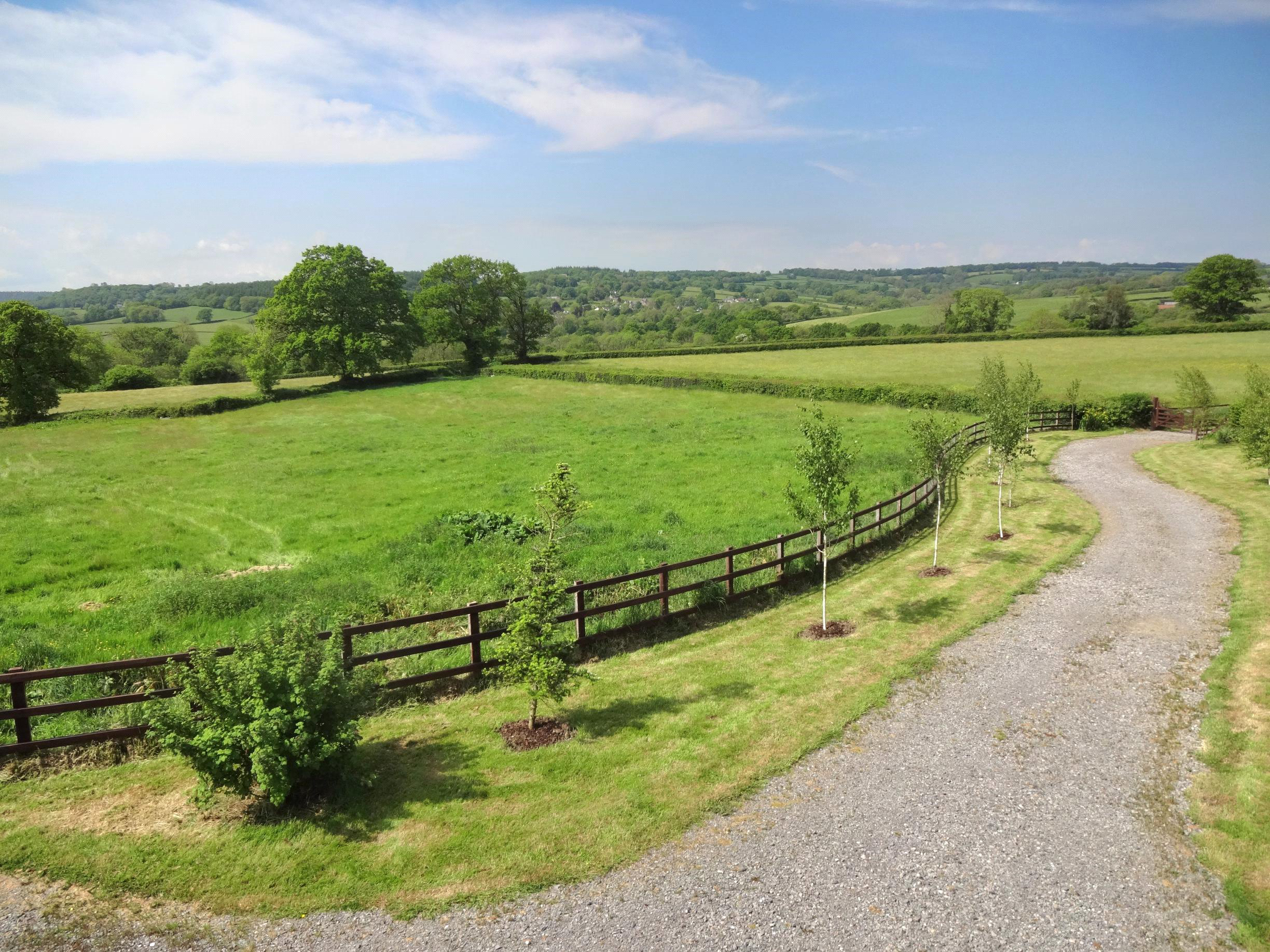 Buckland St. Mary, Taunton, Somerset, TA20, photo 4