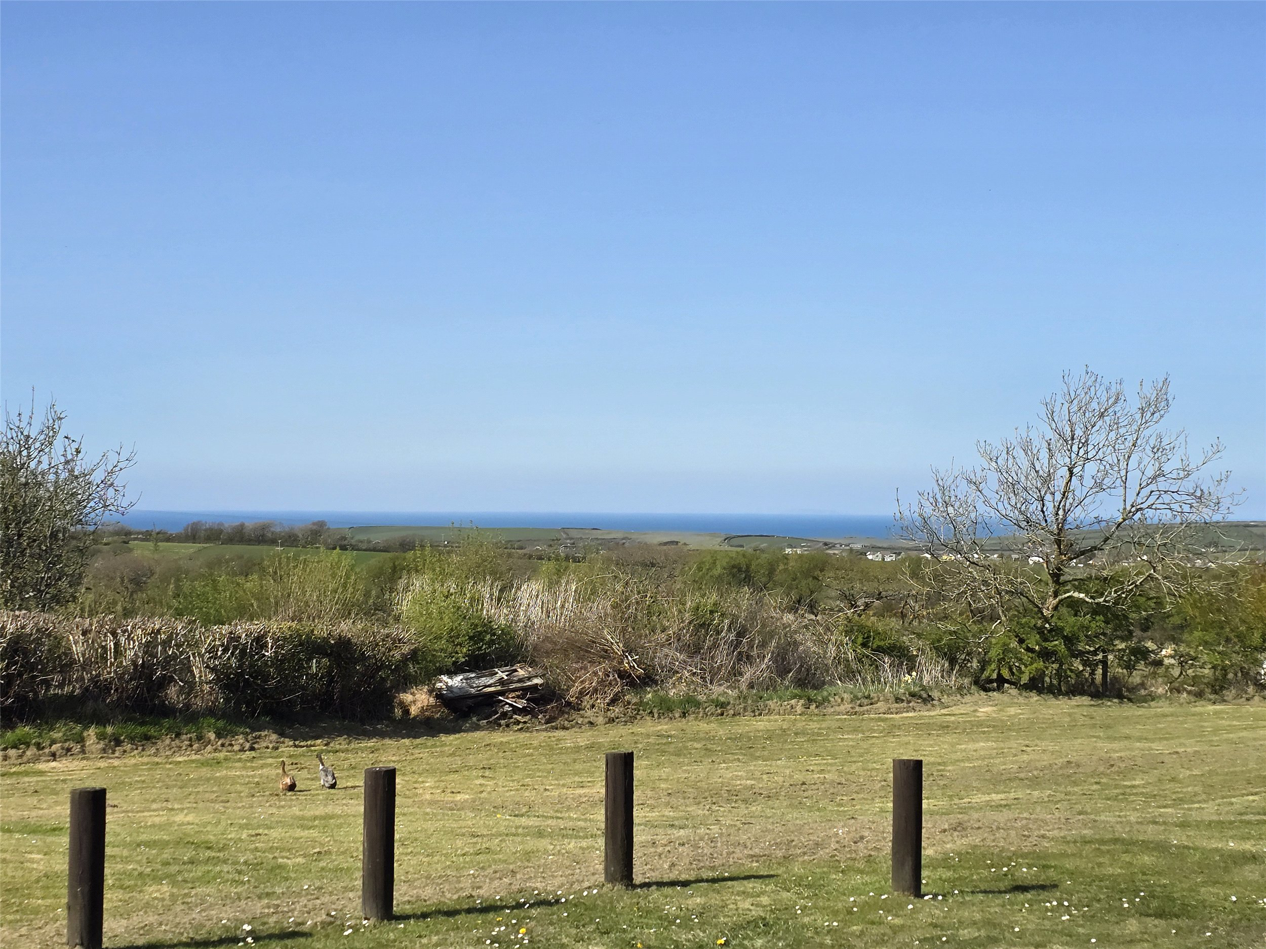 Crackington Haven, Bude, Cornwall, EX23, photo 17