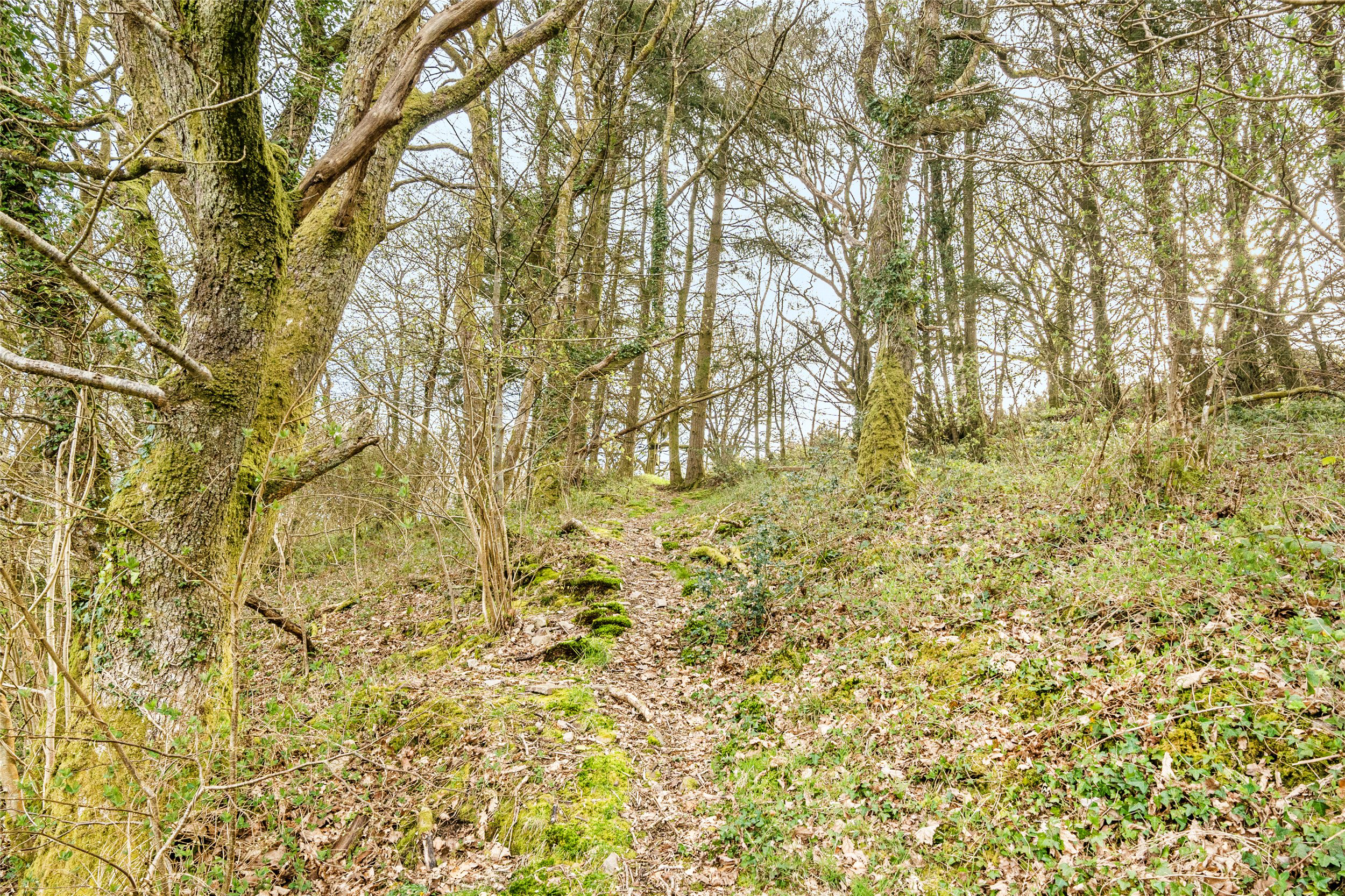 Lynton, Devon, EX35, photo 23