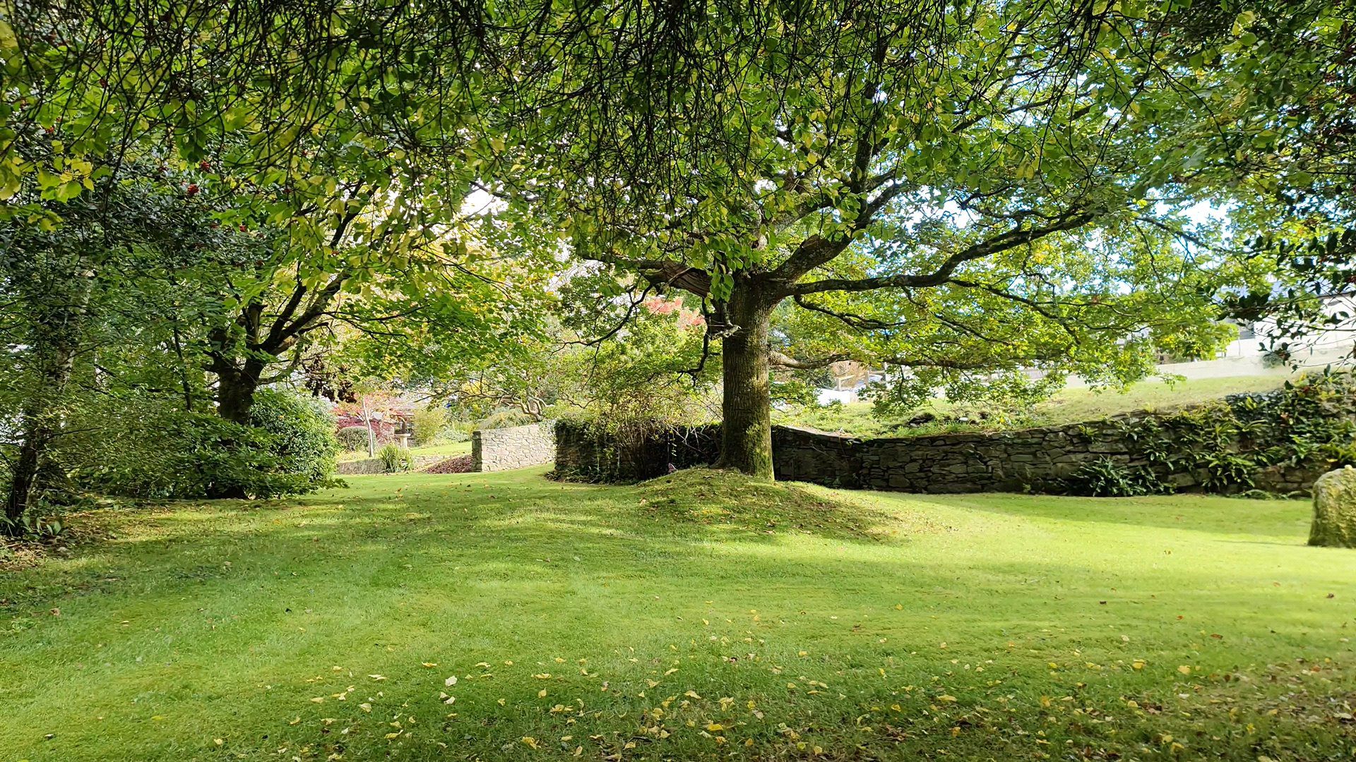 Caradon Town, Liskeard, Cornwall, PL14, photo 14