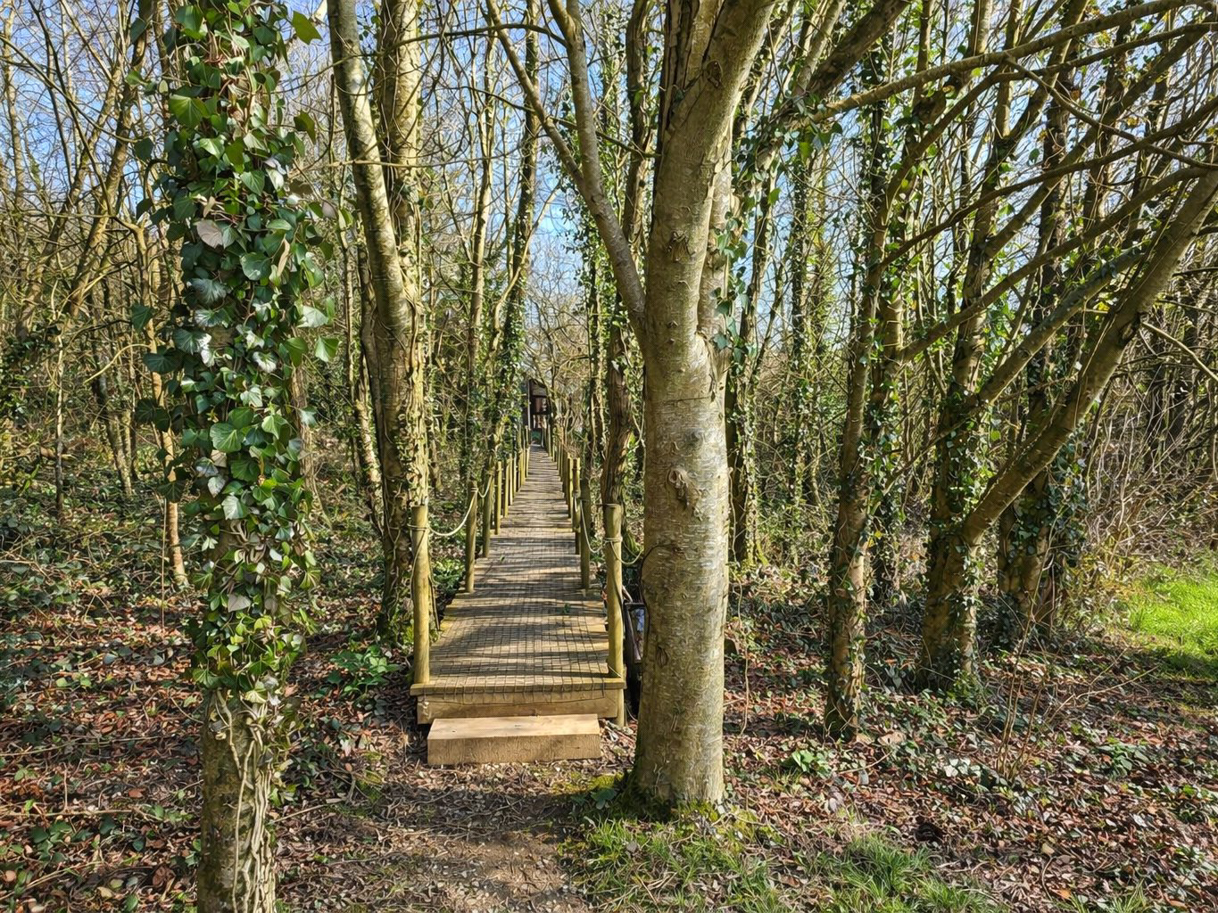 Petrockstowe, Okehampton, Devon, EX20, photo 17