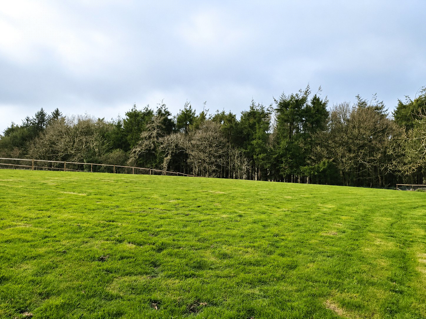 Lanlivery, Bodmin, Cornwall, PL30, photo 26