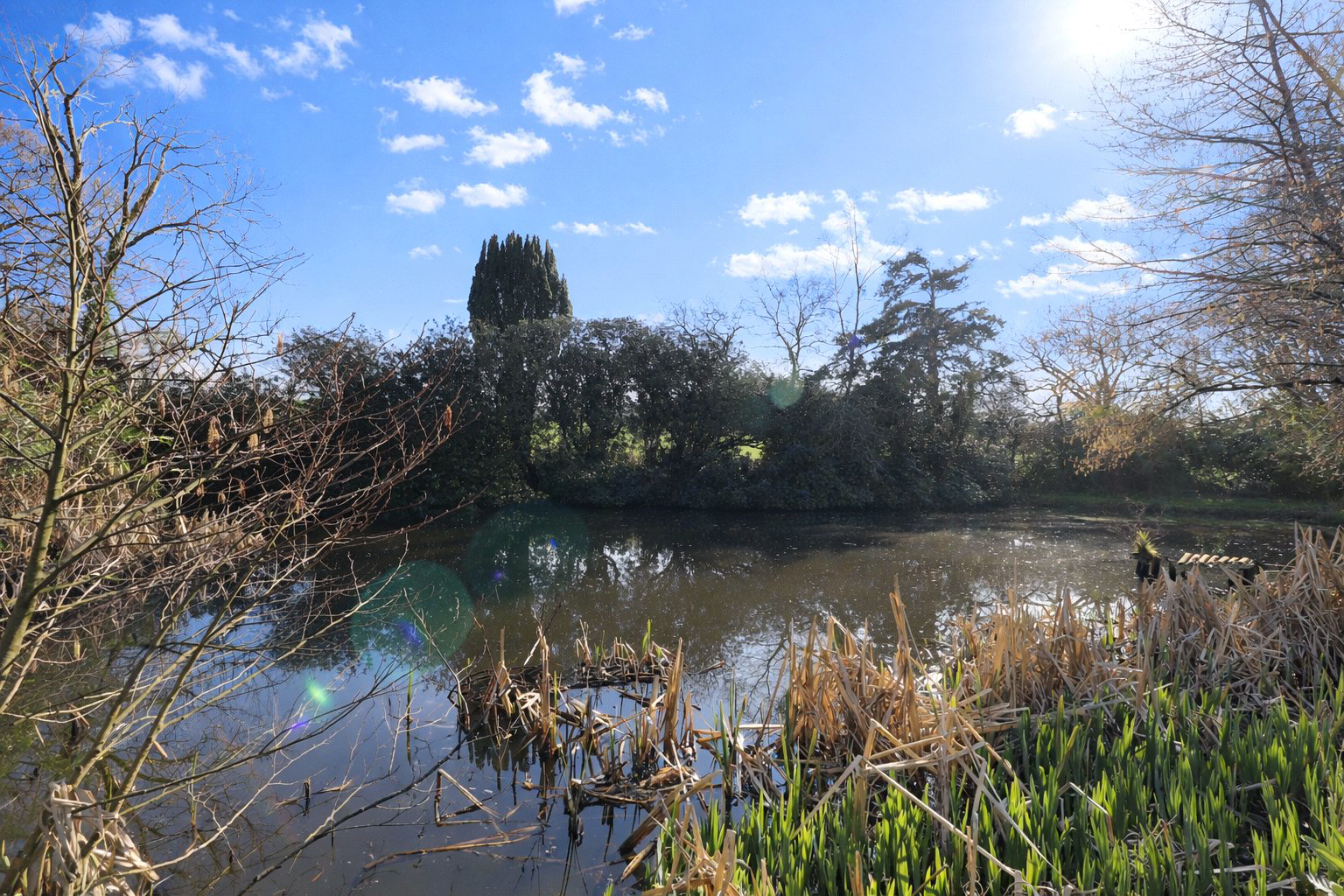 Littleham, Bideford, Devon, EX39, photo 80