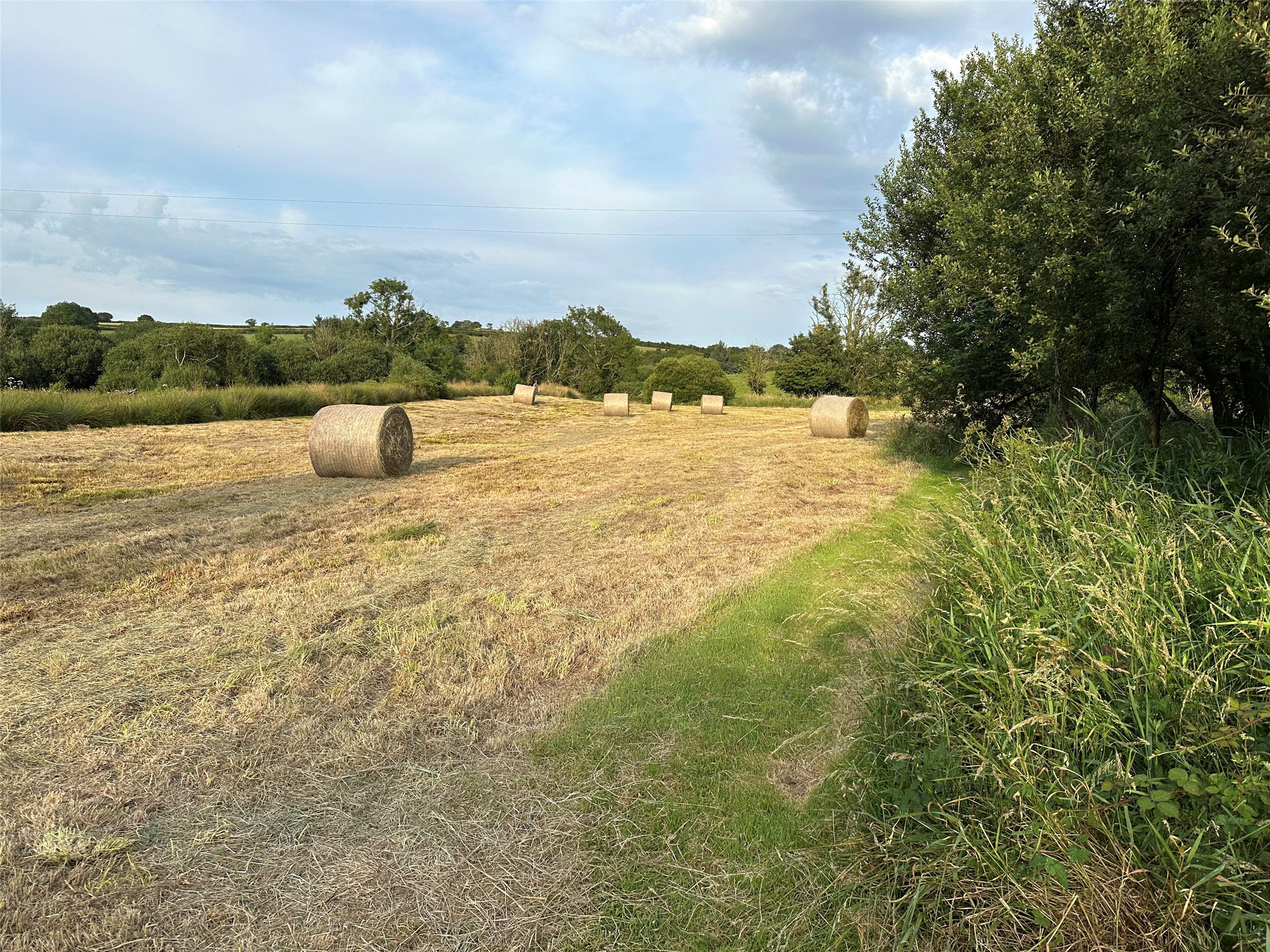 Photo 49