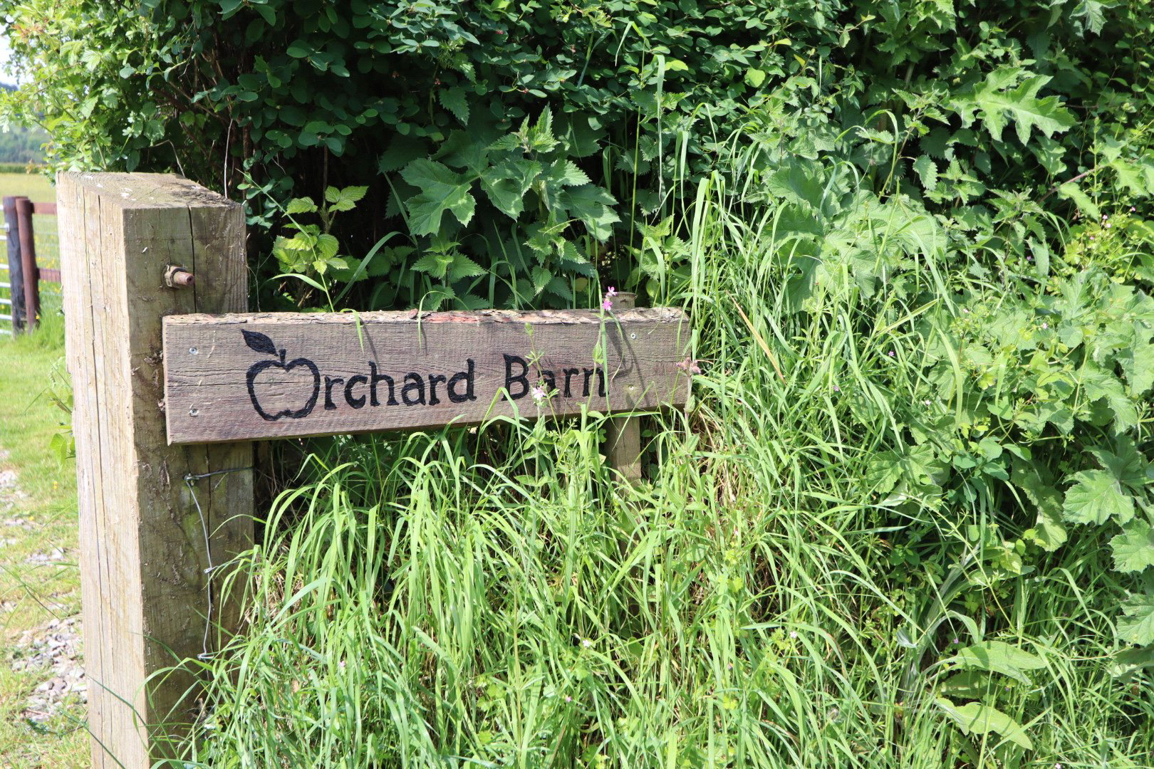 Buckland St. Mary, Taunton, Somerset, TA20, photo 19