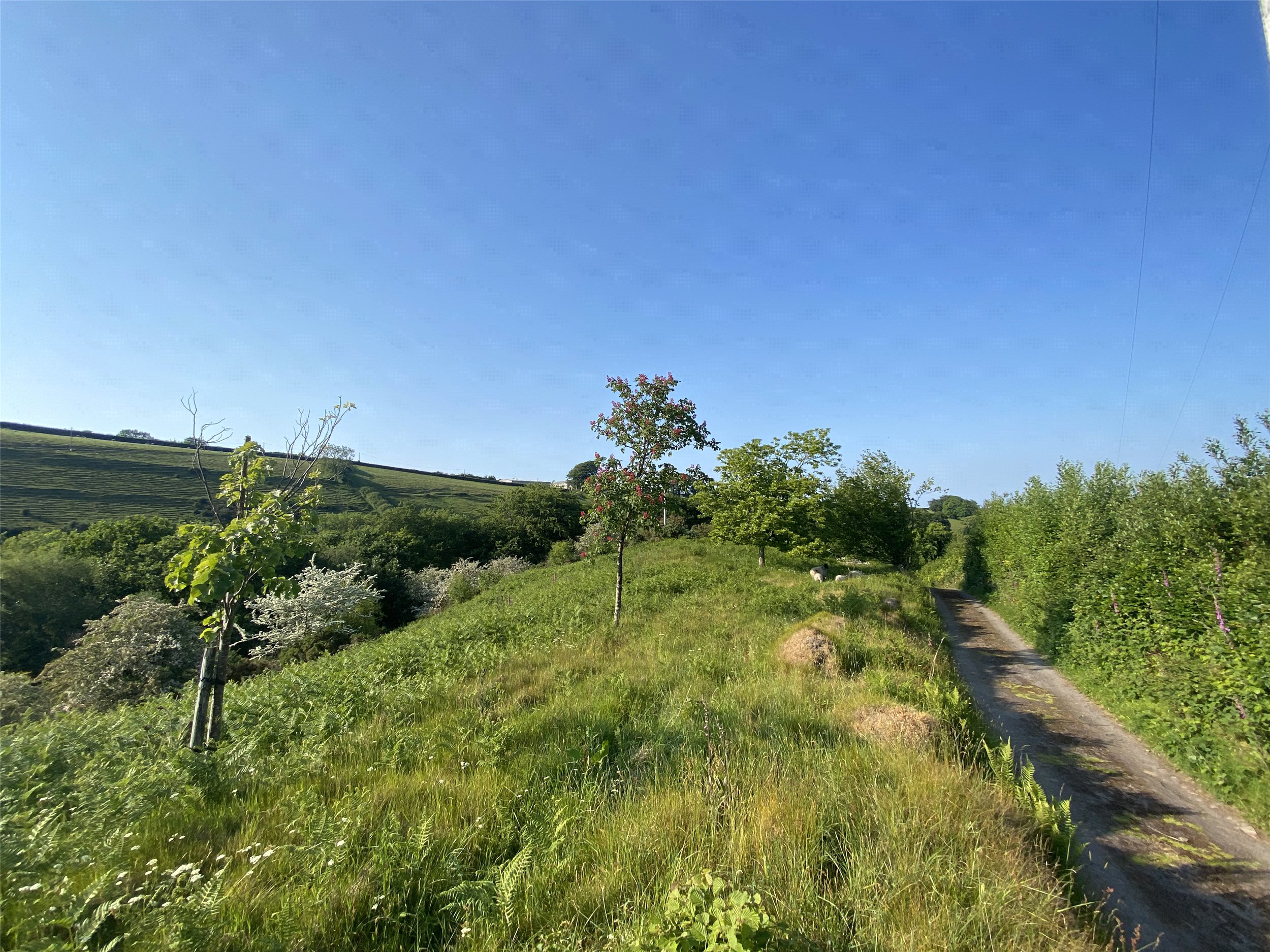 Porlock, Exmoor National Park, Minehead, Somerset, TA24, photo 15