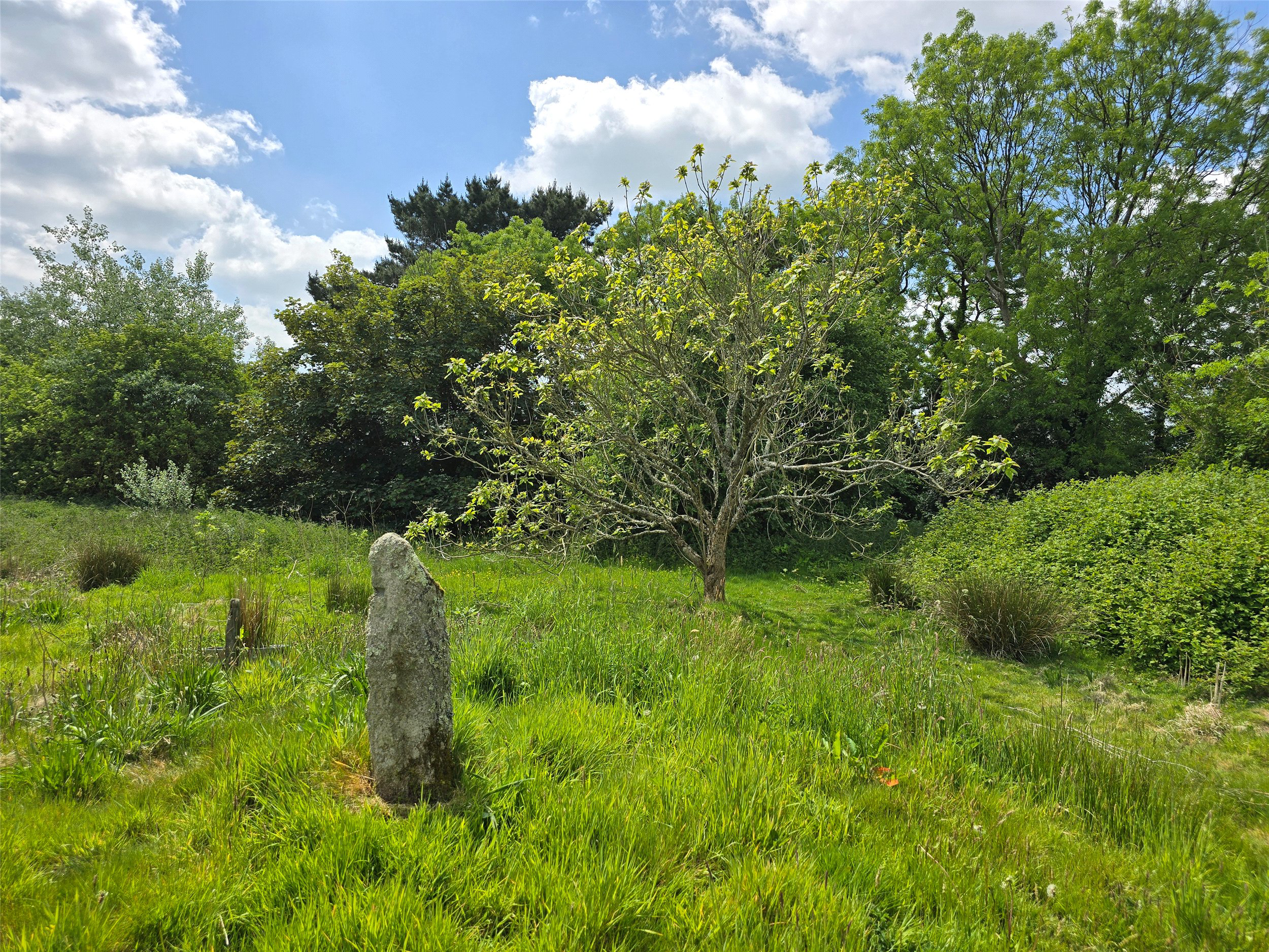 North Tamerton, Holsworthy, Devon, EX22, photo 22