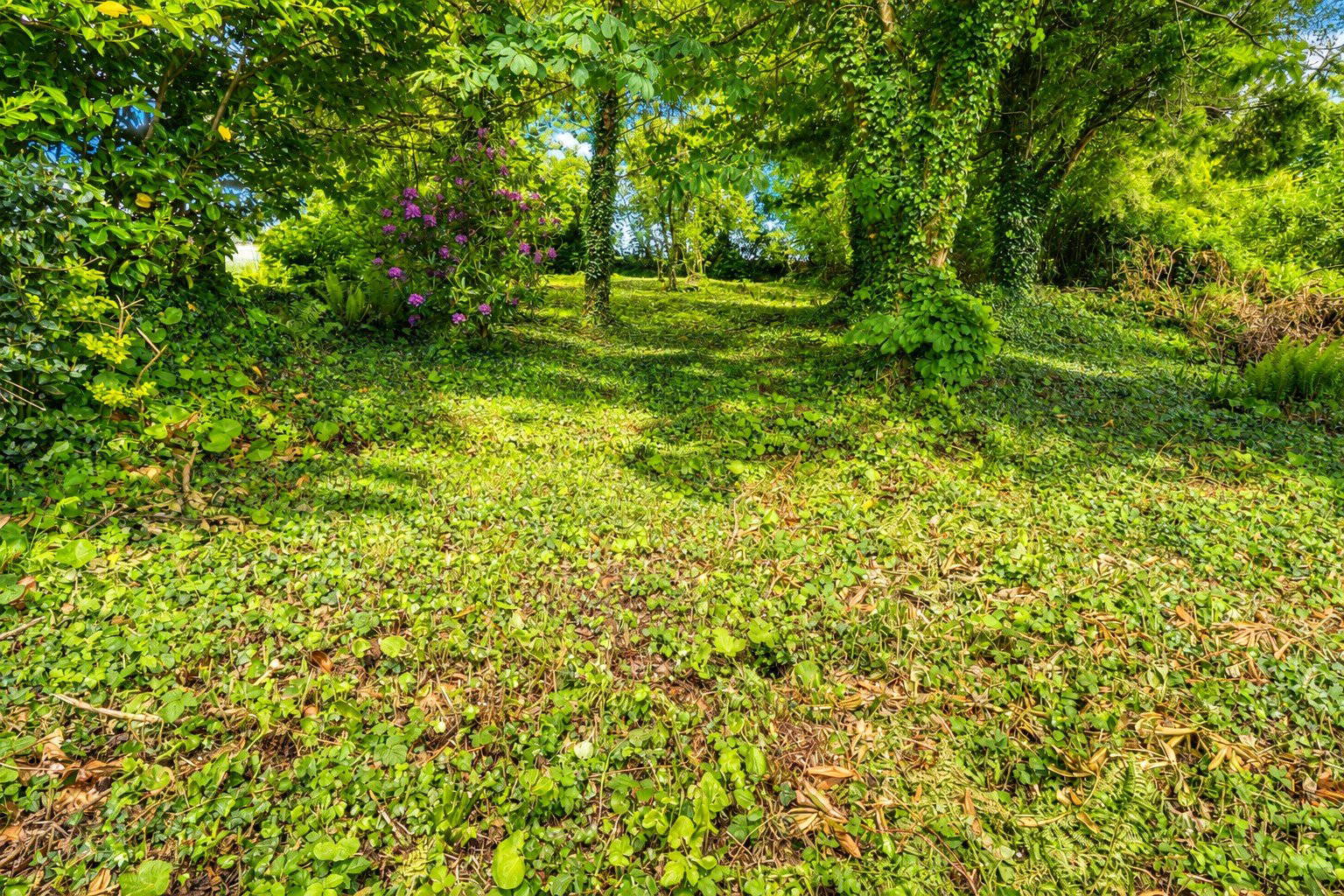 Goodleigh, Barnstaple, Devon, EX32, photo 5