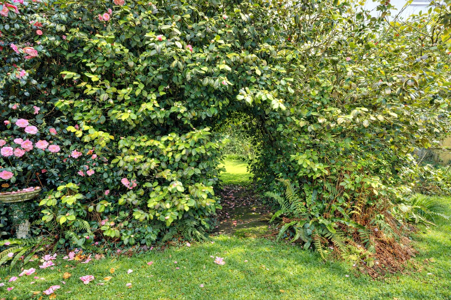 Photo 13