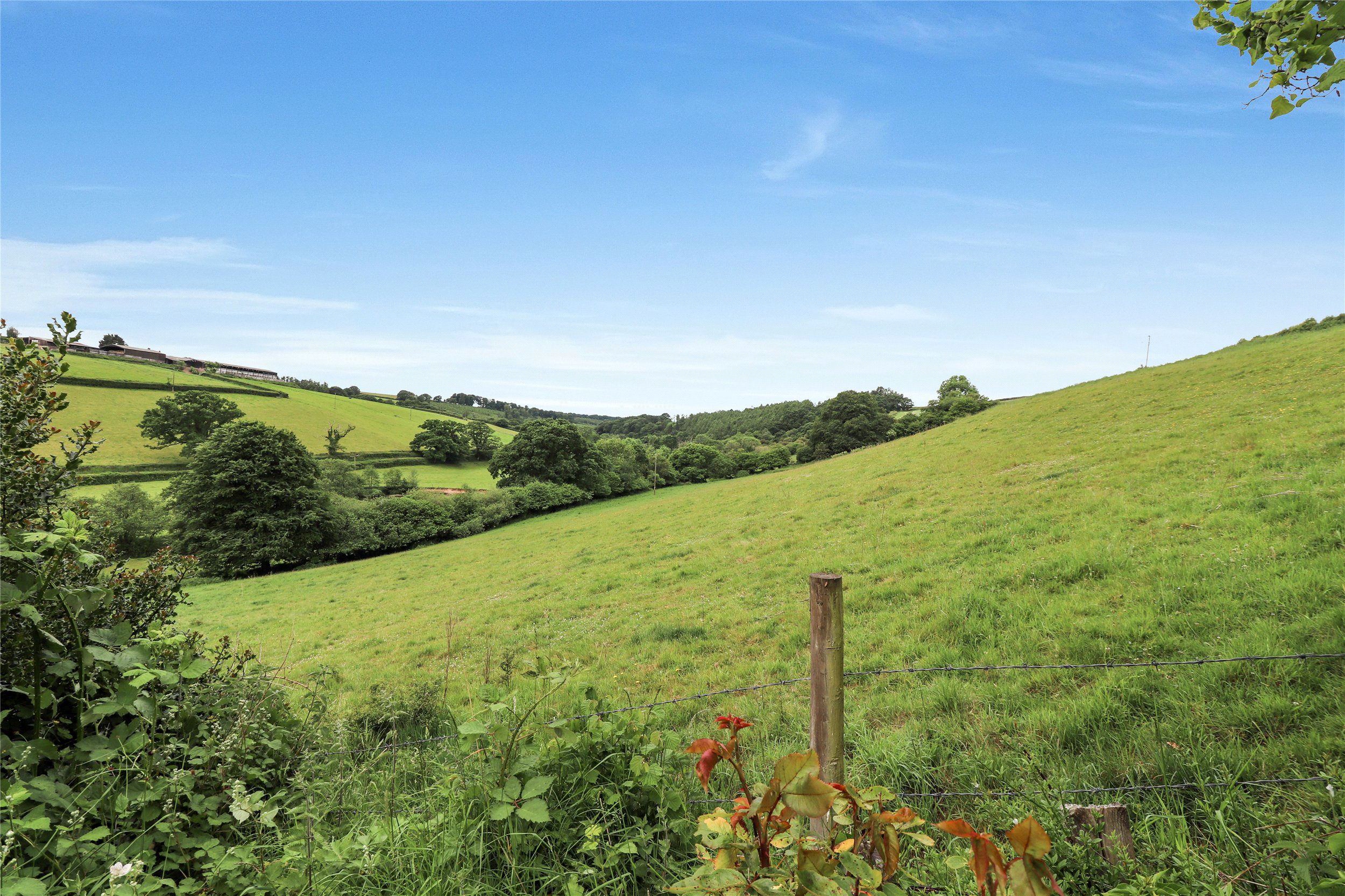 West Worlington, Crediton, Devon, EX17, photo 22