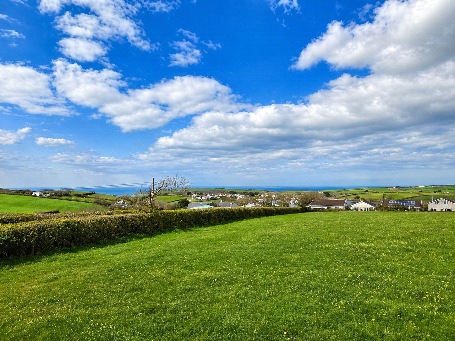 Crackington Haven, Bude, Cornwall, EX23, photo 24