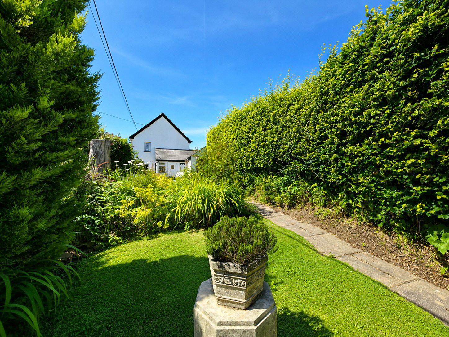 Picture No. 23