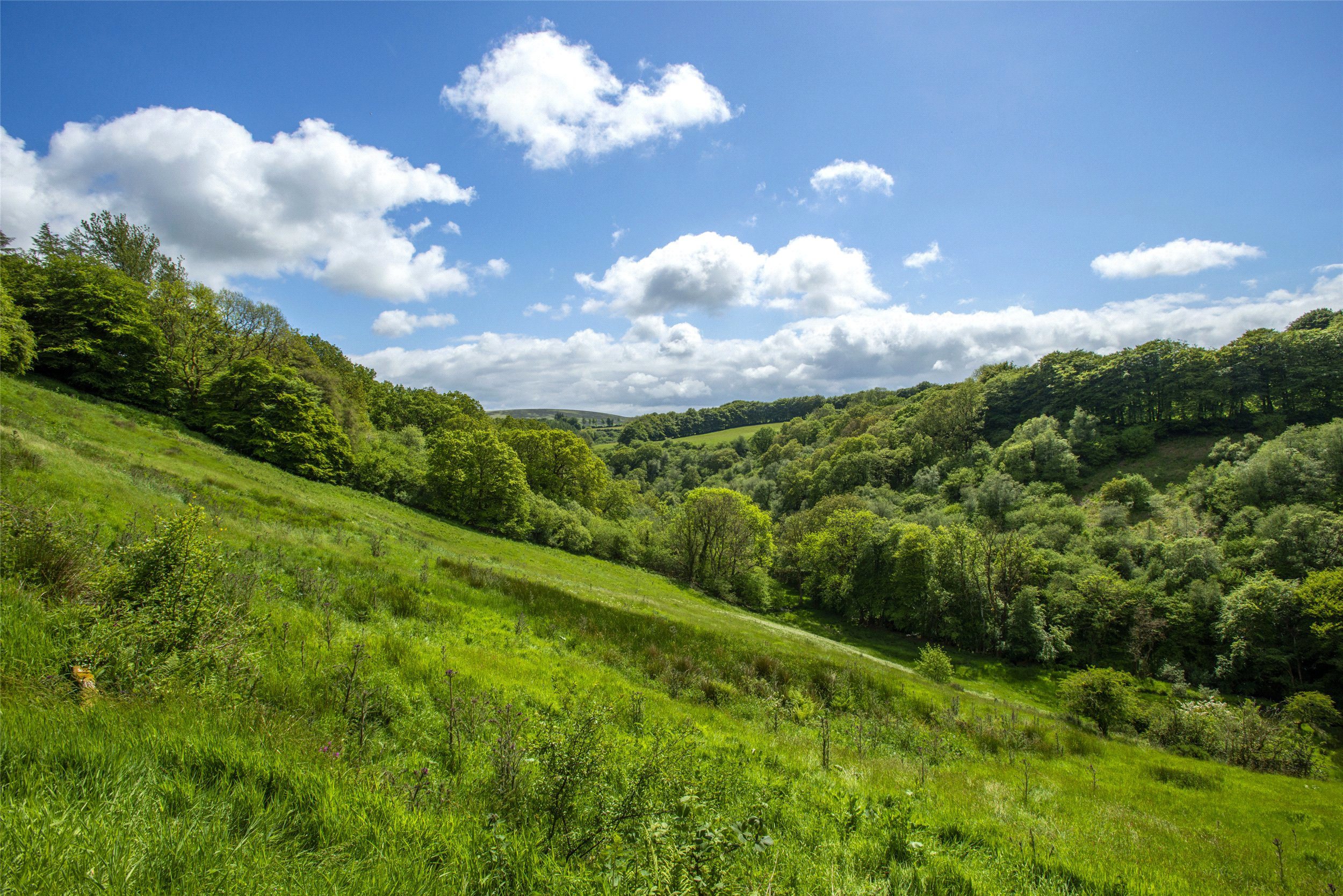 Withypool, Minehead, Somerset, TA24, photo 13