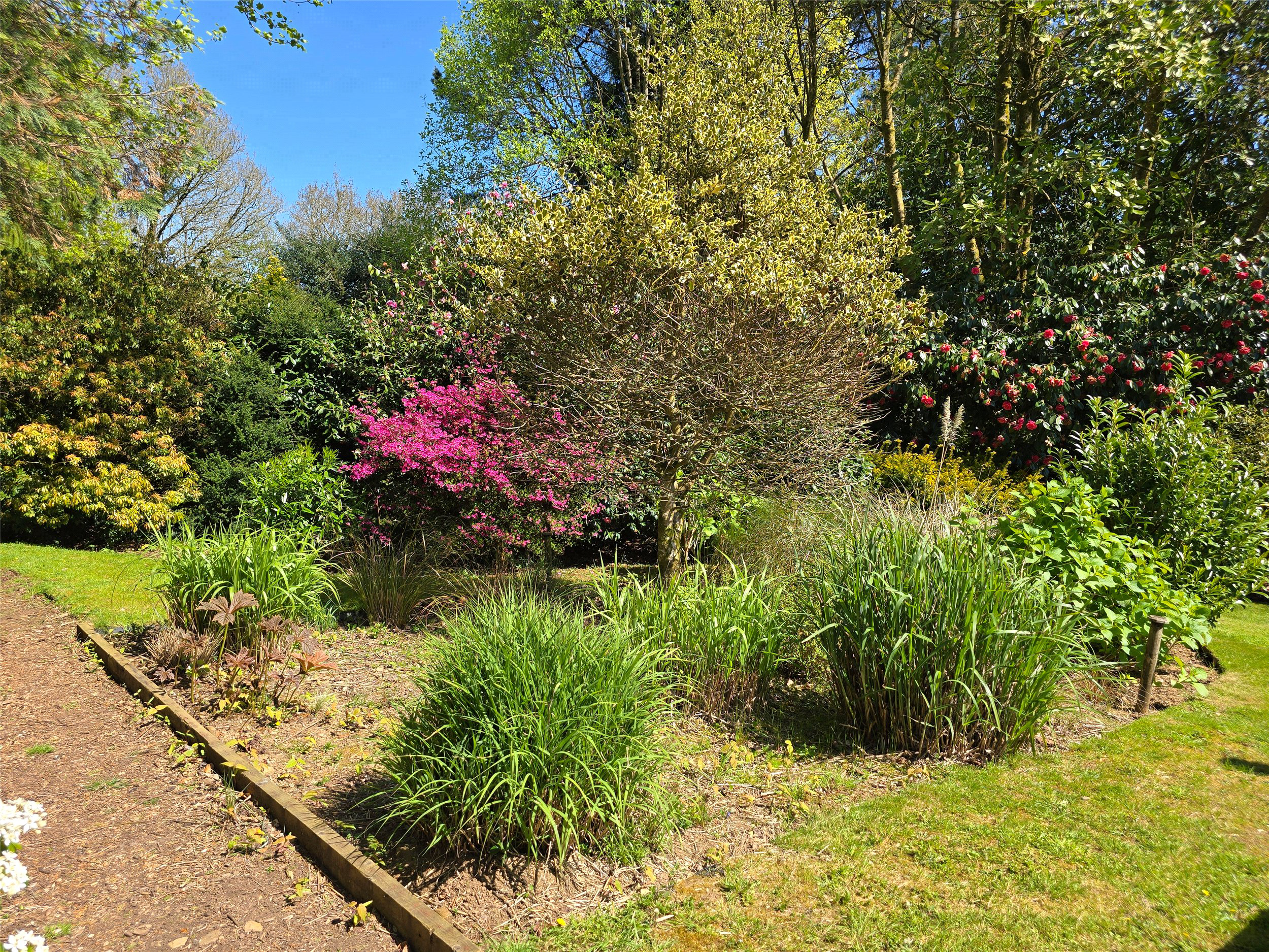Middlewood, North Hill, Launceston, Cornwall, PL15, photo 23
