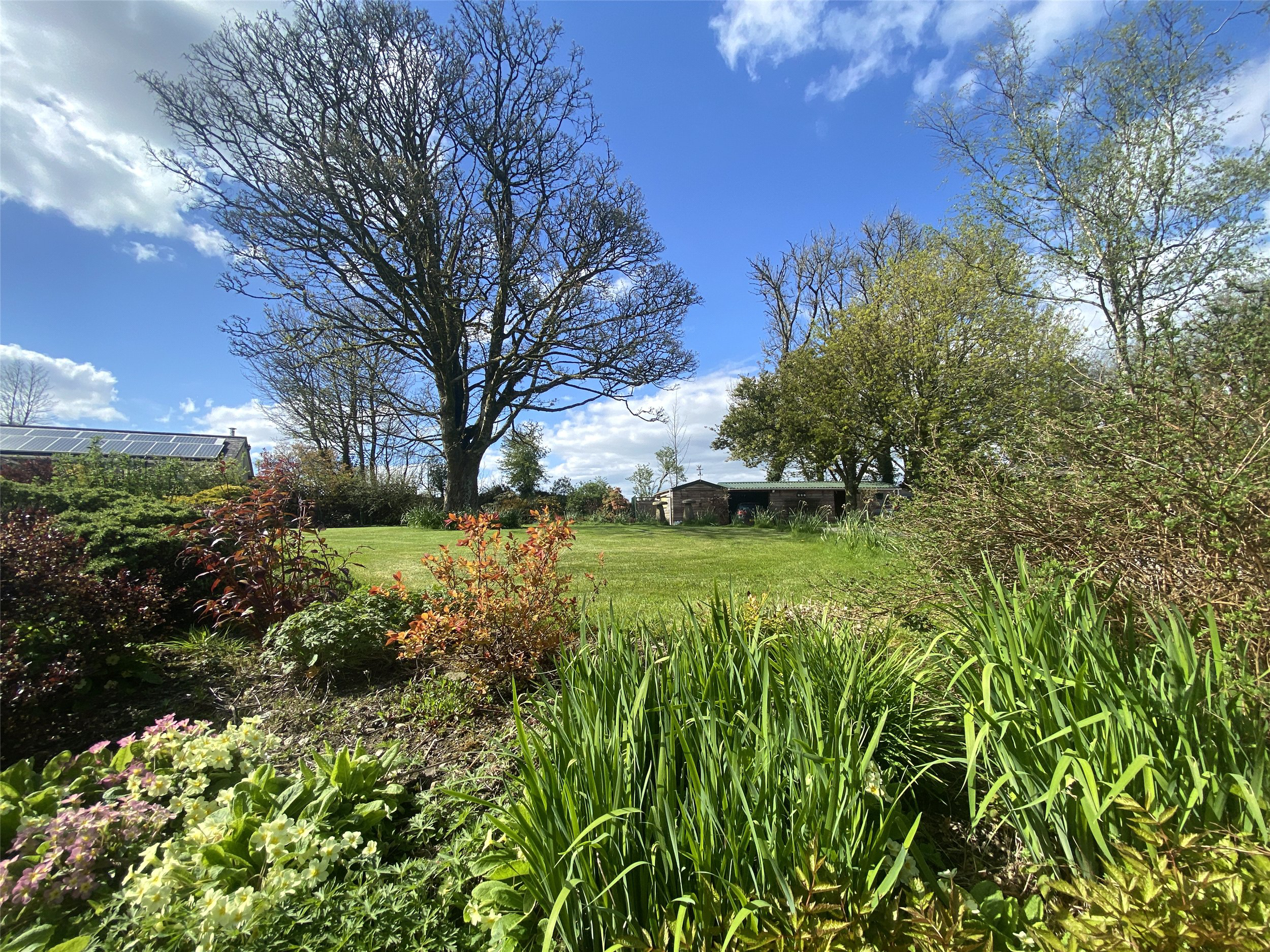 Coads Green, Launceston, Cornwall, PL15, photo 10