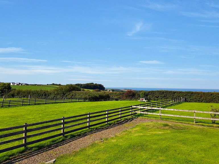 Highford Farm, Higher Clovelly, Bideford, EX39, photo 12
