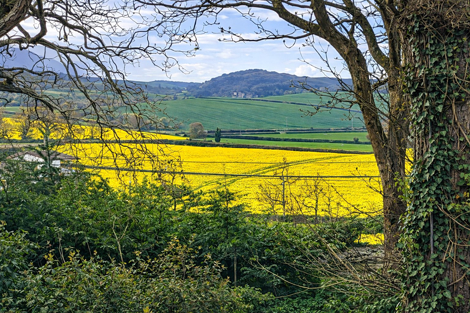 Wood Lane, Blue Anchor, Minehead, Somerset, TA24, photo 2