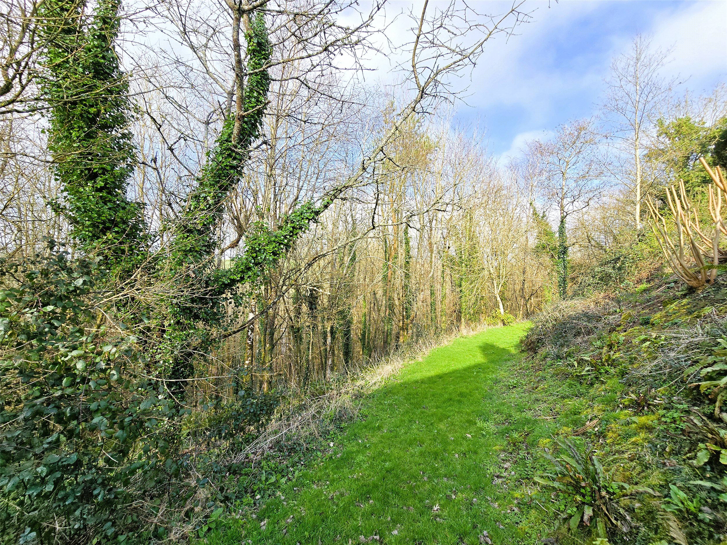 Beaford, Winkleigh, Devon, EX19, photo 17