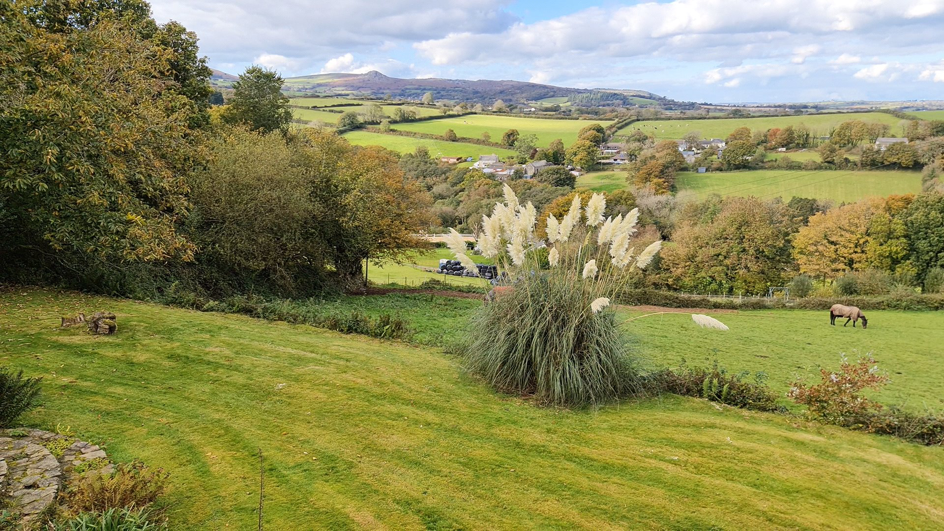 Caradon Town, Liskeard, Cornwall, PL14, photo 15