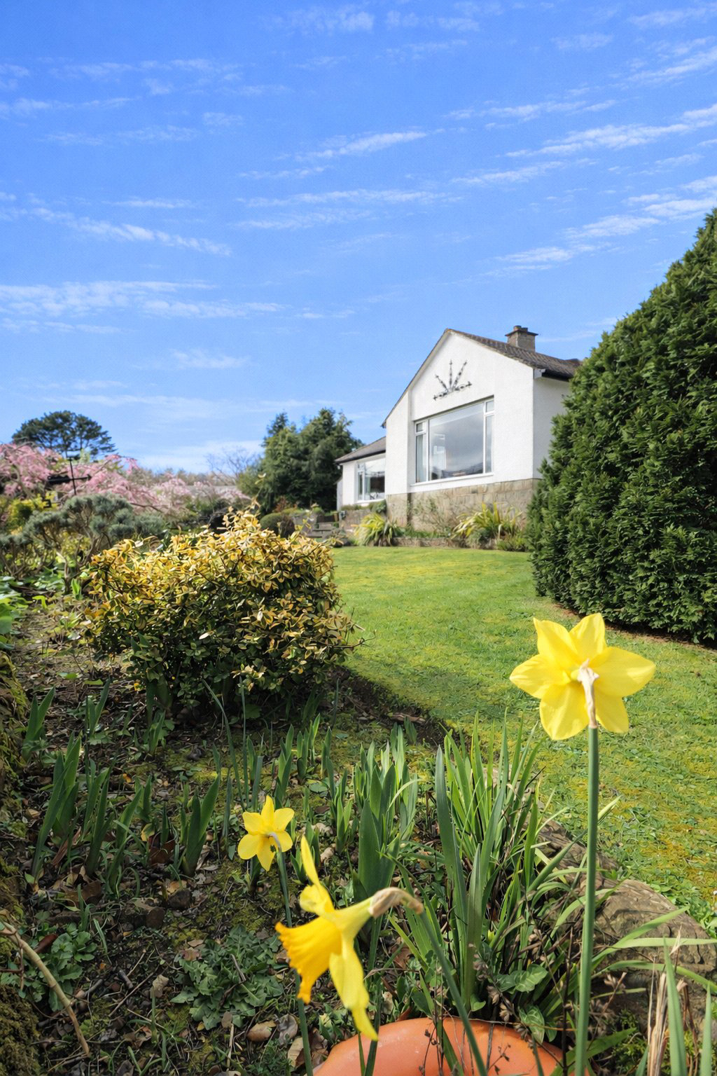 Chircombe Lane, Northam, Bideford, Devon, EX39, photo 41