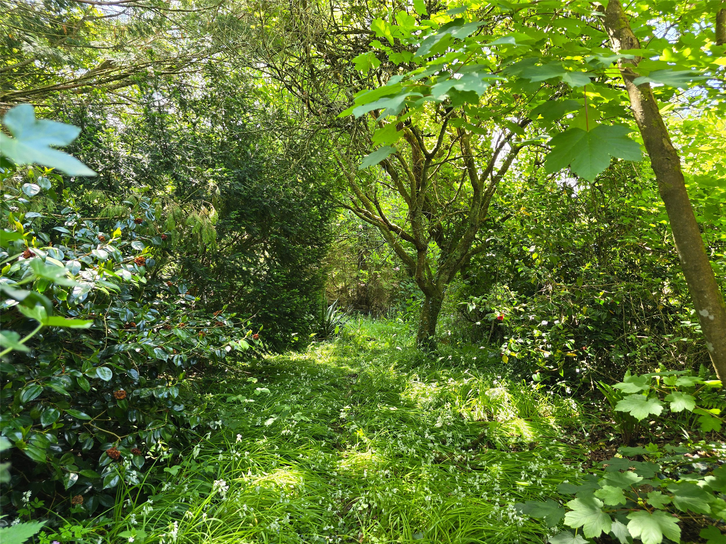 North Tamerton, Holsworthy, Devon, EX22, photo 25