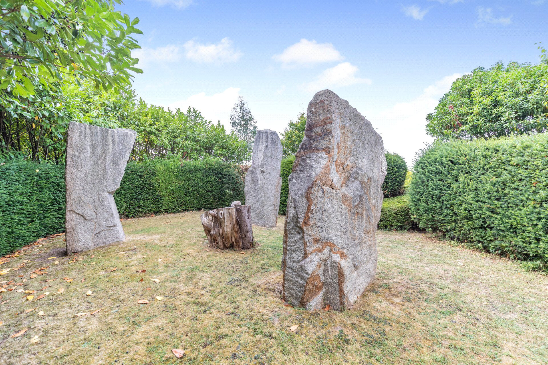 Photo 25