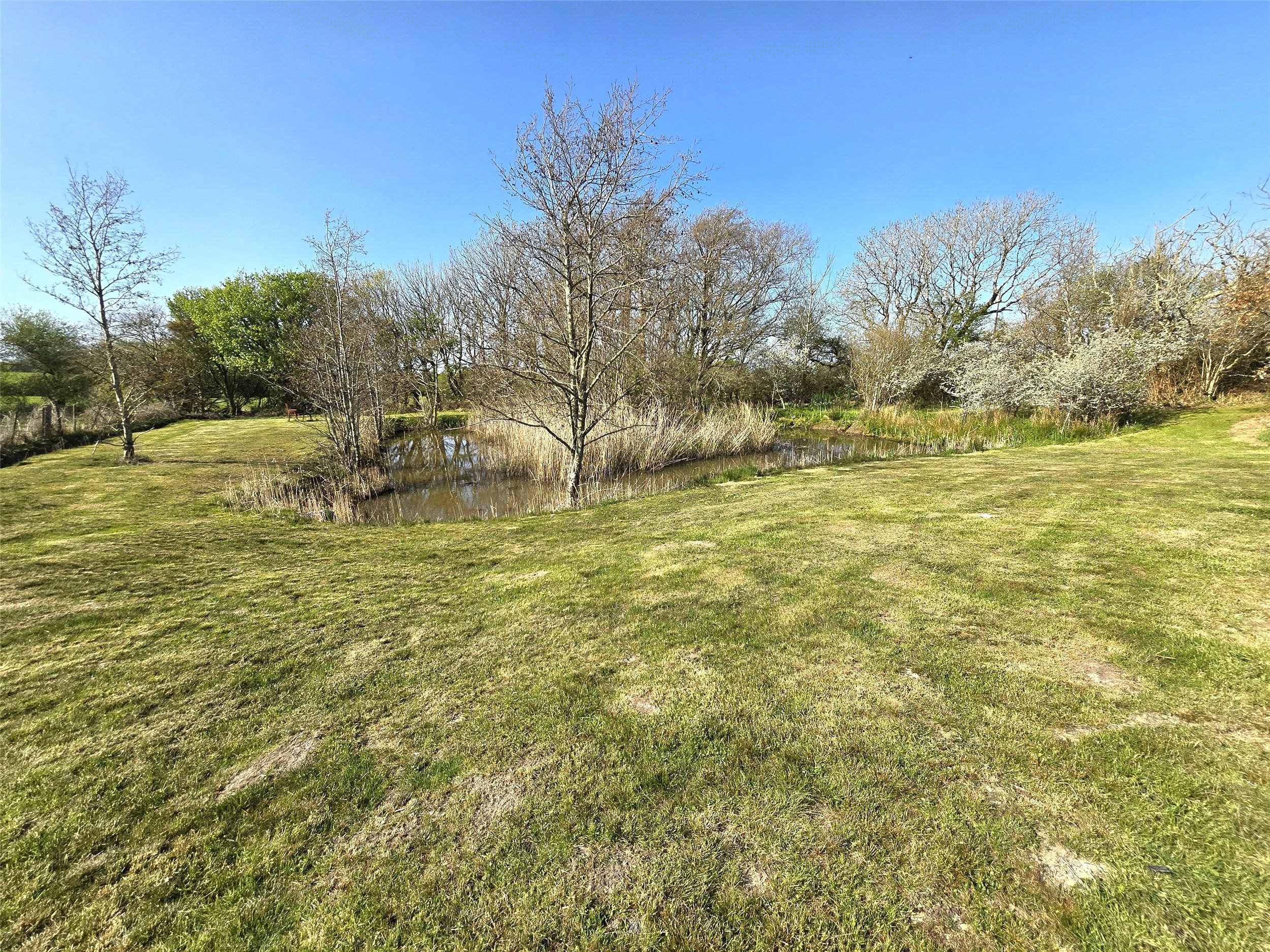Crackington Haven, Bude, EX23, photo 22