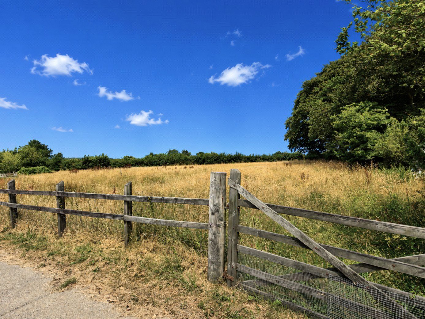 Shebbear, Beaworthy, Devon, EX21, photo 11
