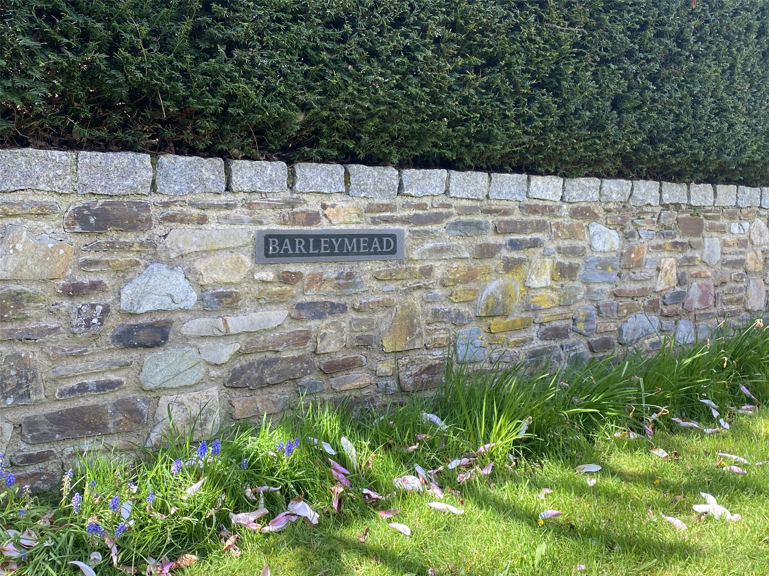 Yeolmbridge, Launceston, Cornwall, PL15, photo 25