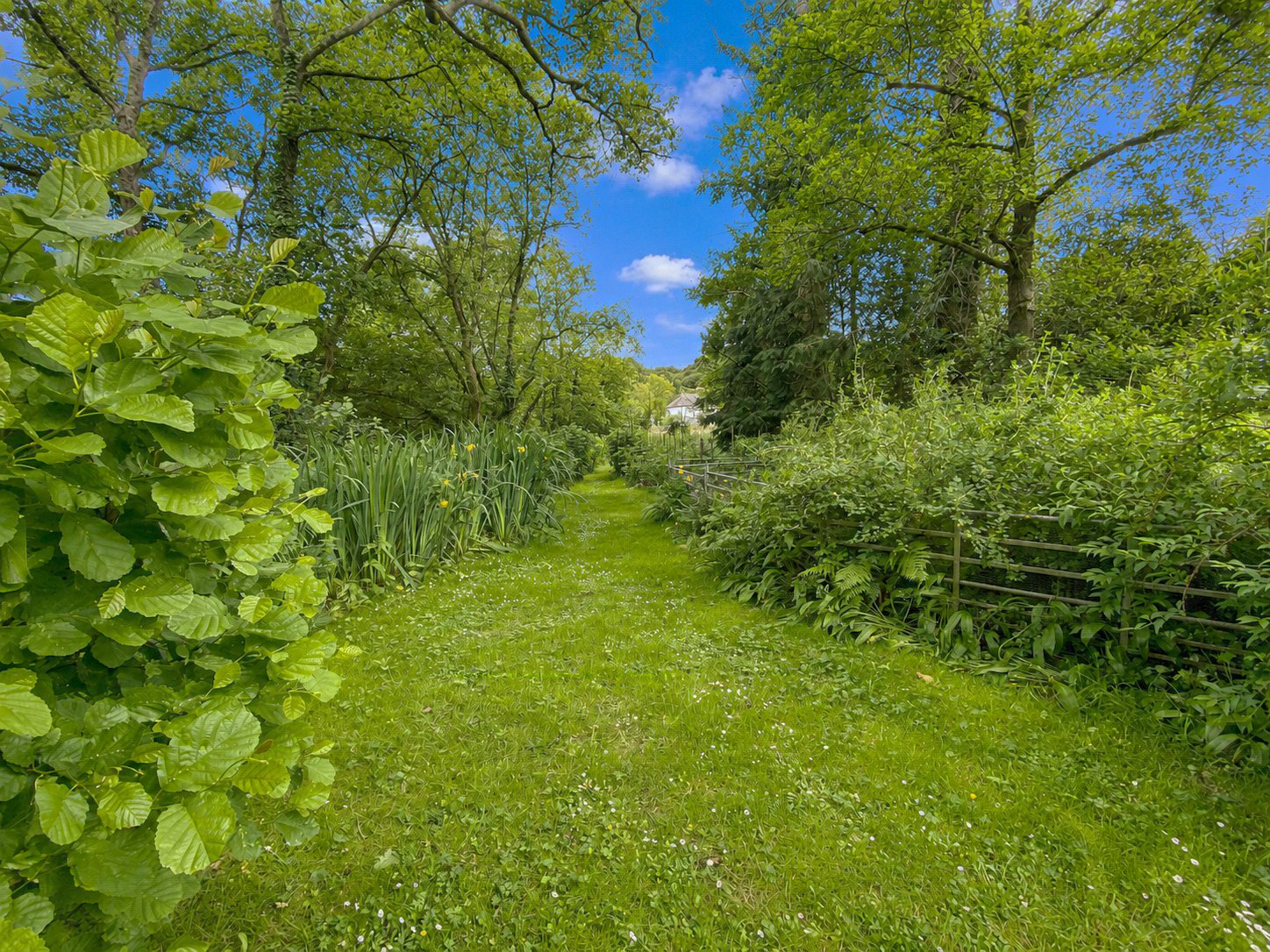 Little Comfort, Tregada, Launceston, Cornwall, PL15, photo 12