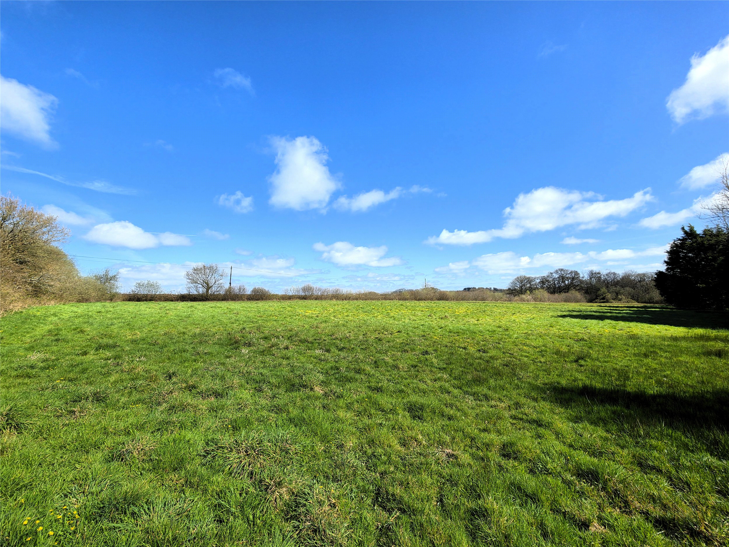 Roborough, Winkleigh, EX19, photo 18