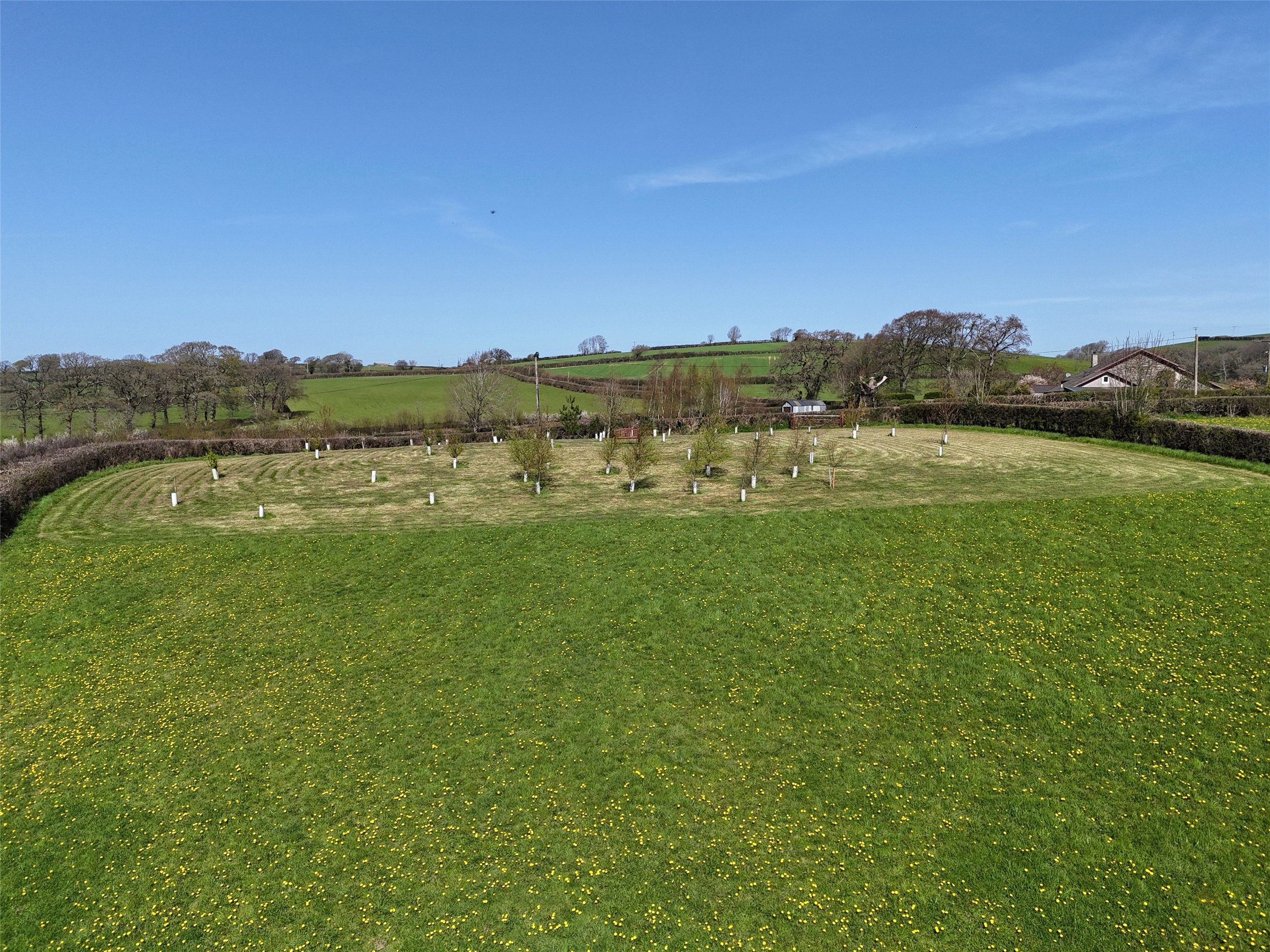 Yeolmbridge, Launceston, Cornwall, PL15, photo 5