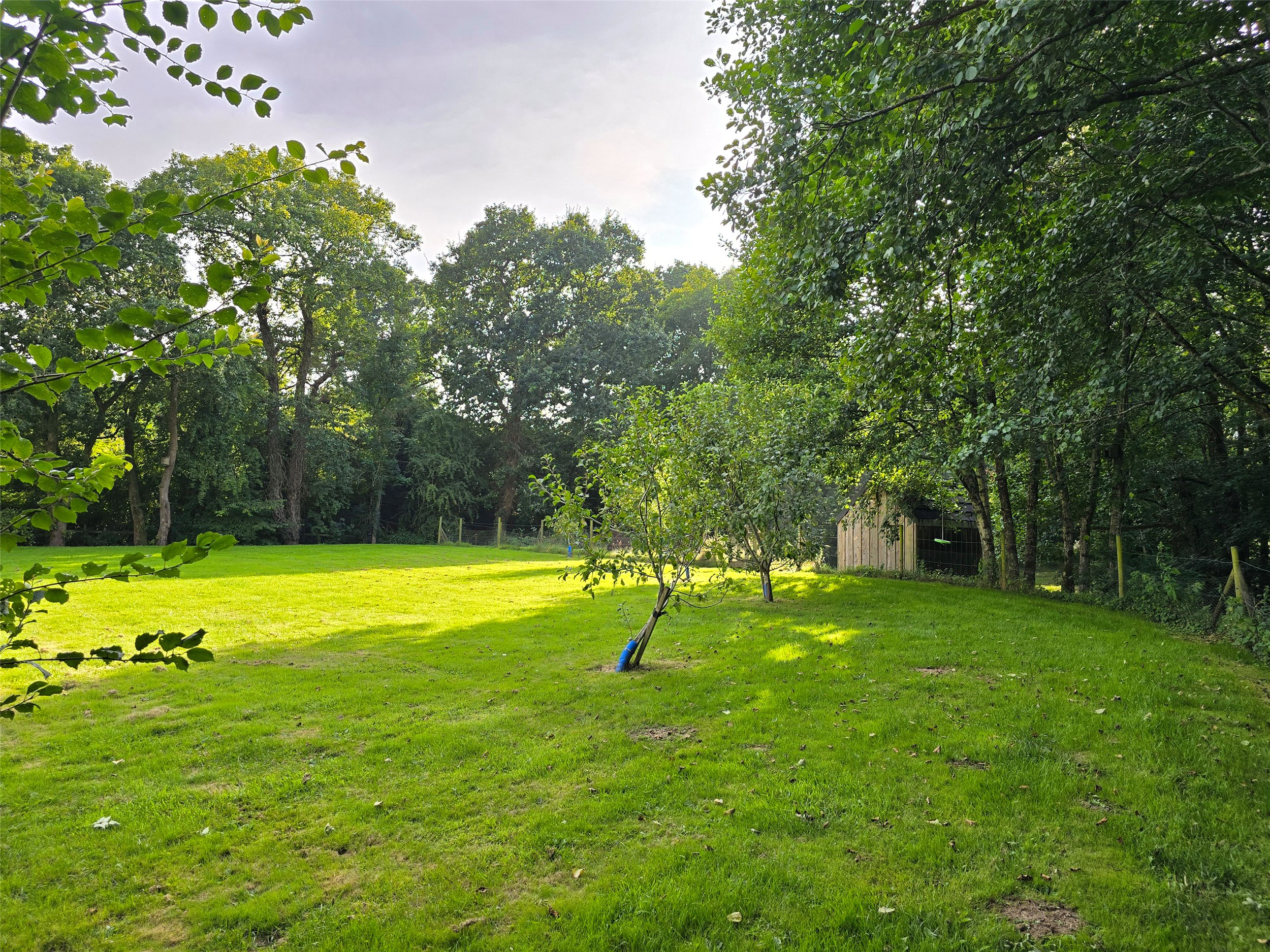 Beals Mill, Callington, Cornwall, PL17, photo 26