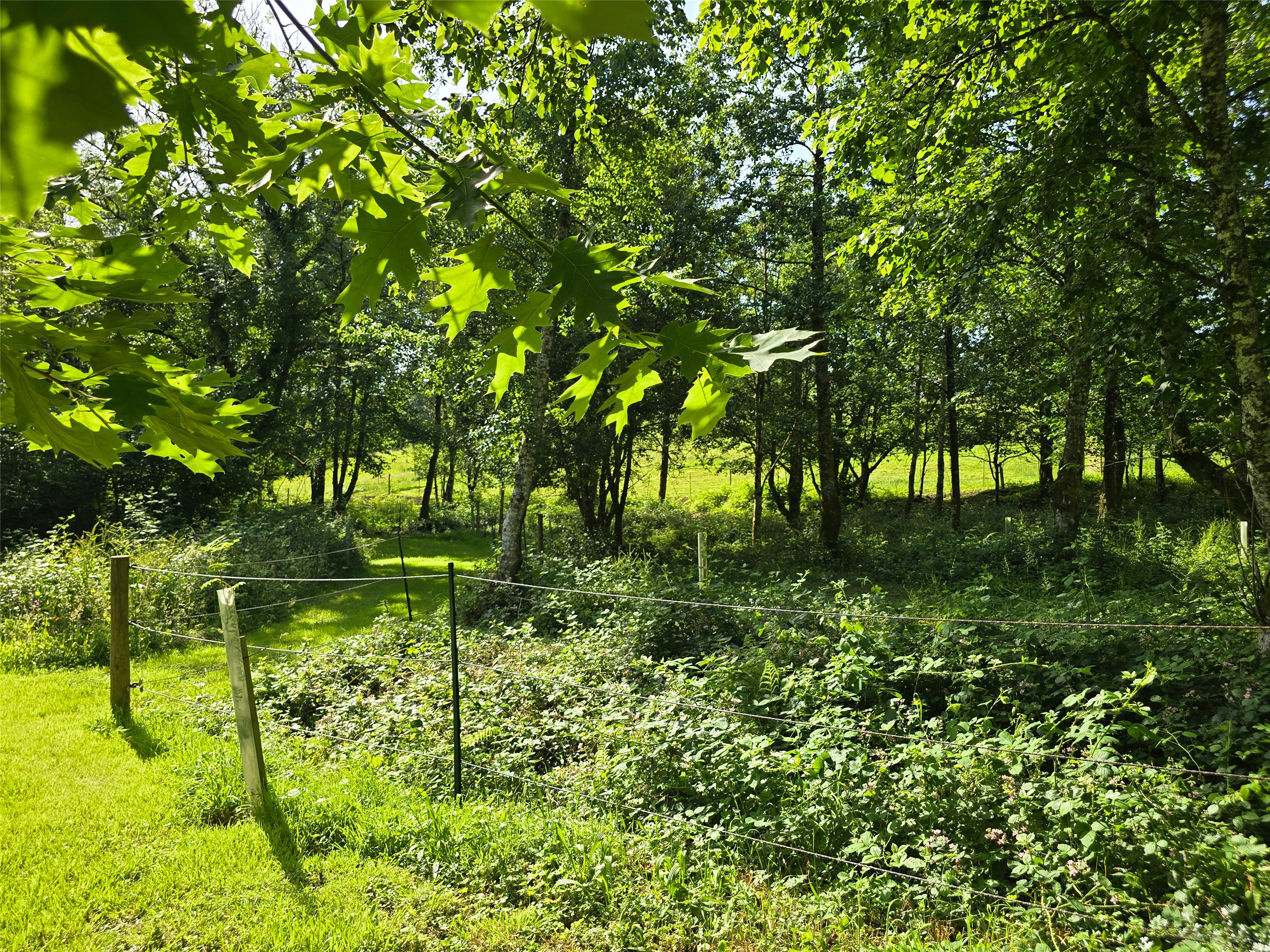 Photo 24