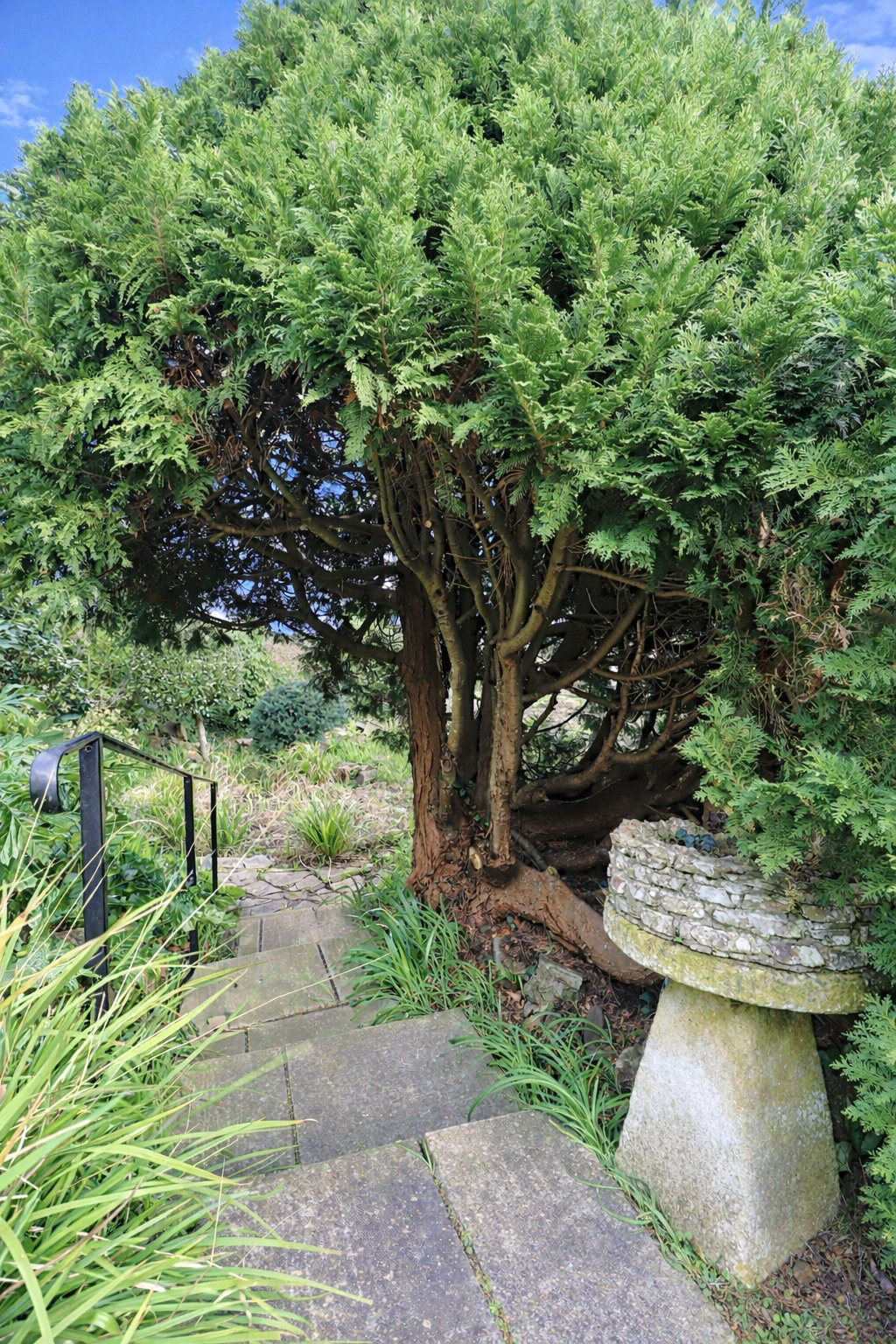 Chircombe Lane, Northam, Bideford, Devon, EX39, photo 37
