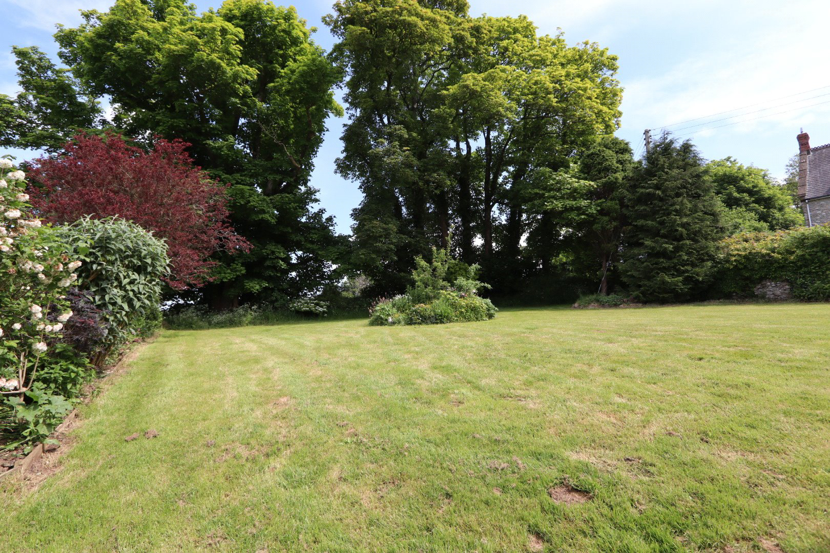 Buckland St. Mary, Taunton, Somerset, TA20, photo 22