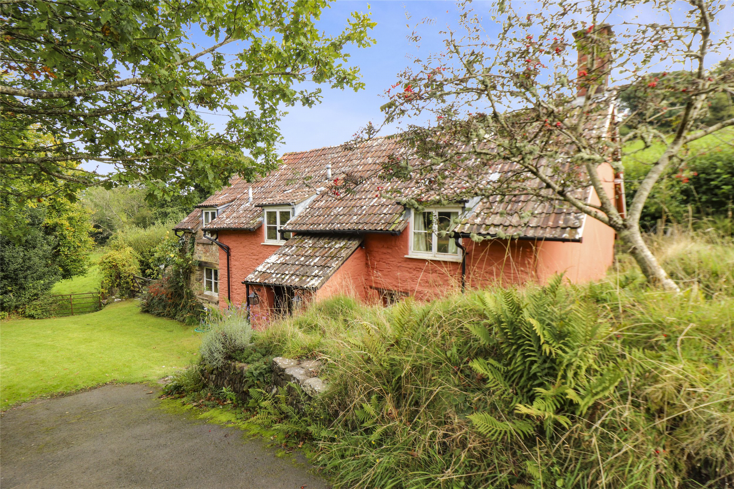 Porlock, Exmoor National Park, Minehead, Somerset, TA24, photo 14