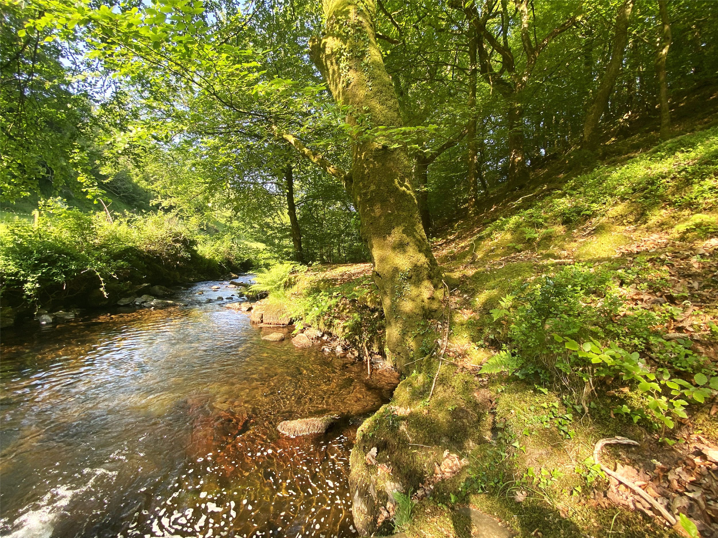 Porlock, Exmoor National Park, Minehead, Somerset, TA24, photo 2