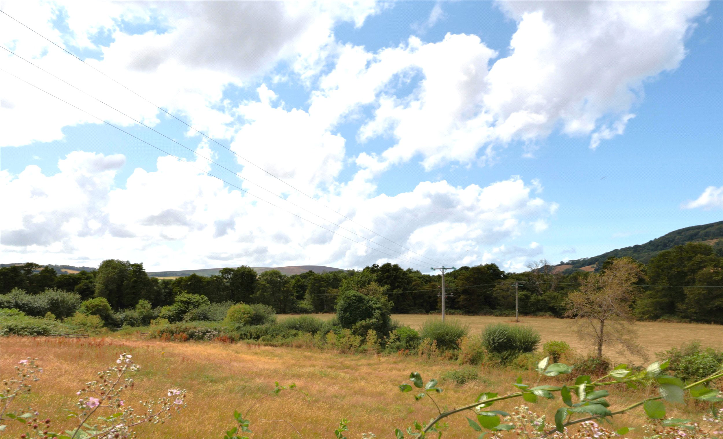 Cowbridge Sawmill, Timberscombe, Minehead, TA24, photo 6
