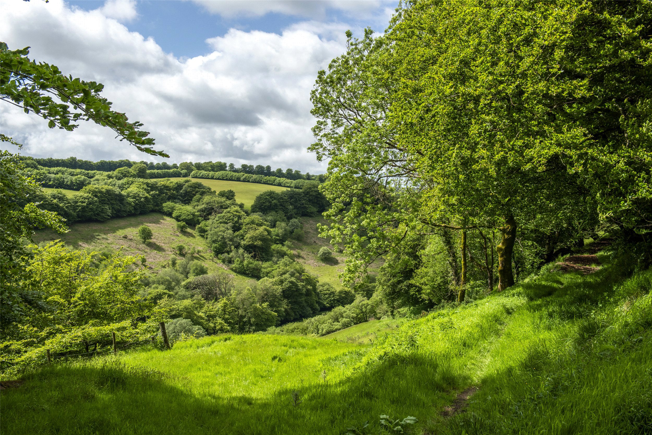 Withypool, Minehead, Somerset, TA24, photo 48