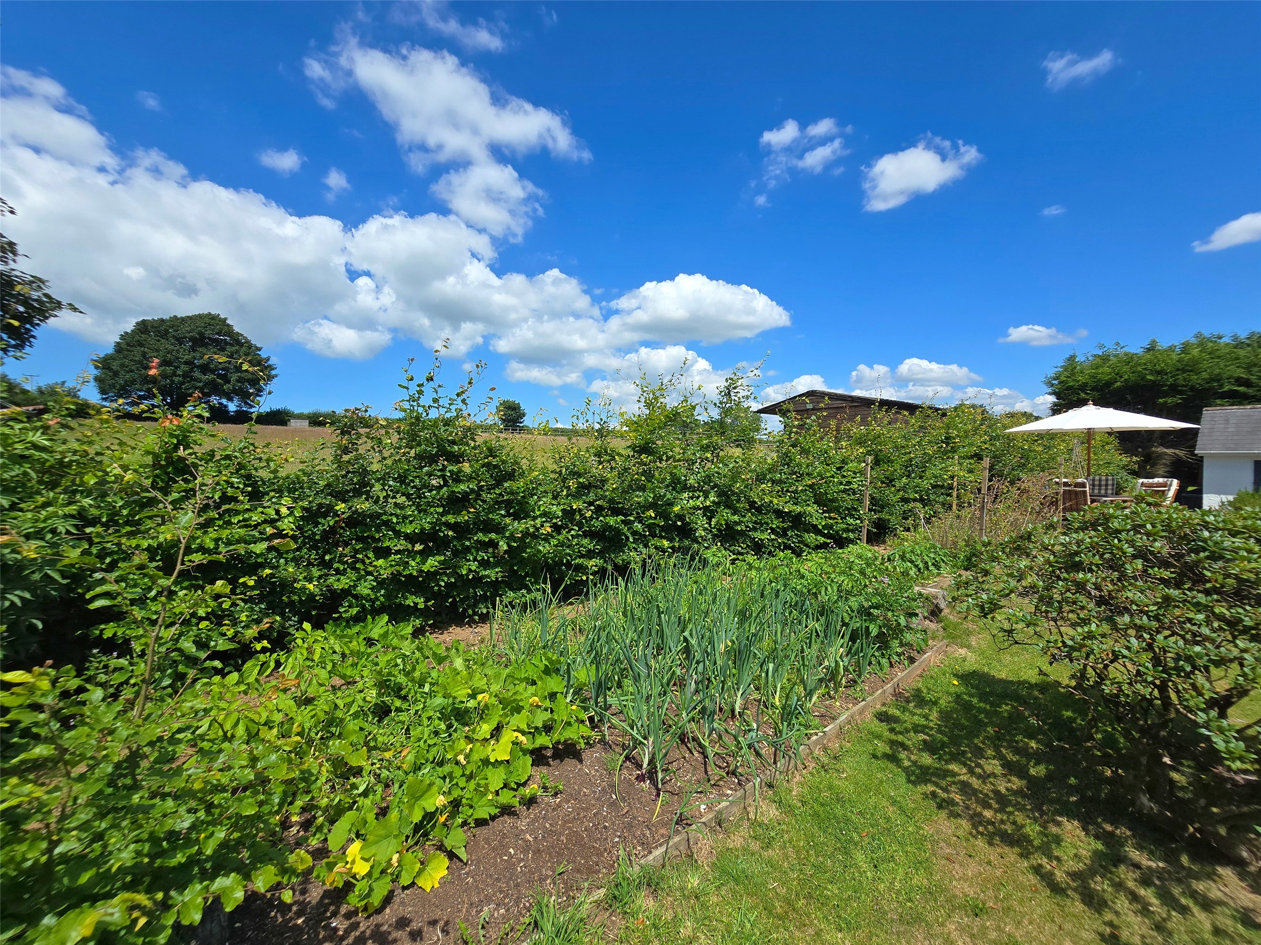 Laneast, Launceston, Cornwall, PL15, photo 11