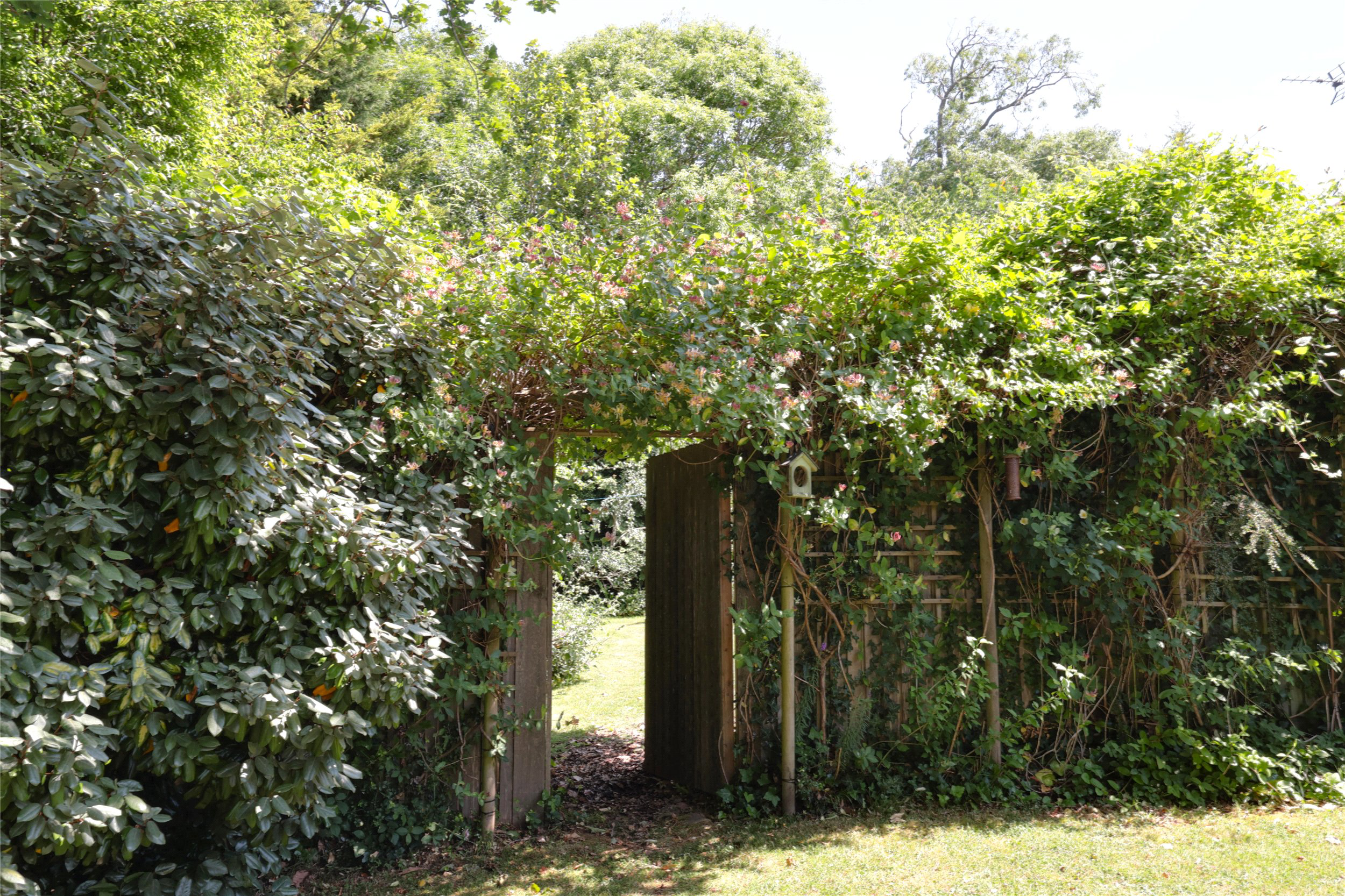 Wood Lane, Blue Anchor, Minehead, Somerset, TA24, photo 23
