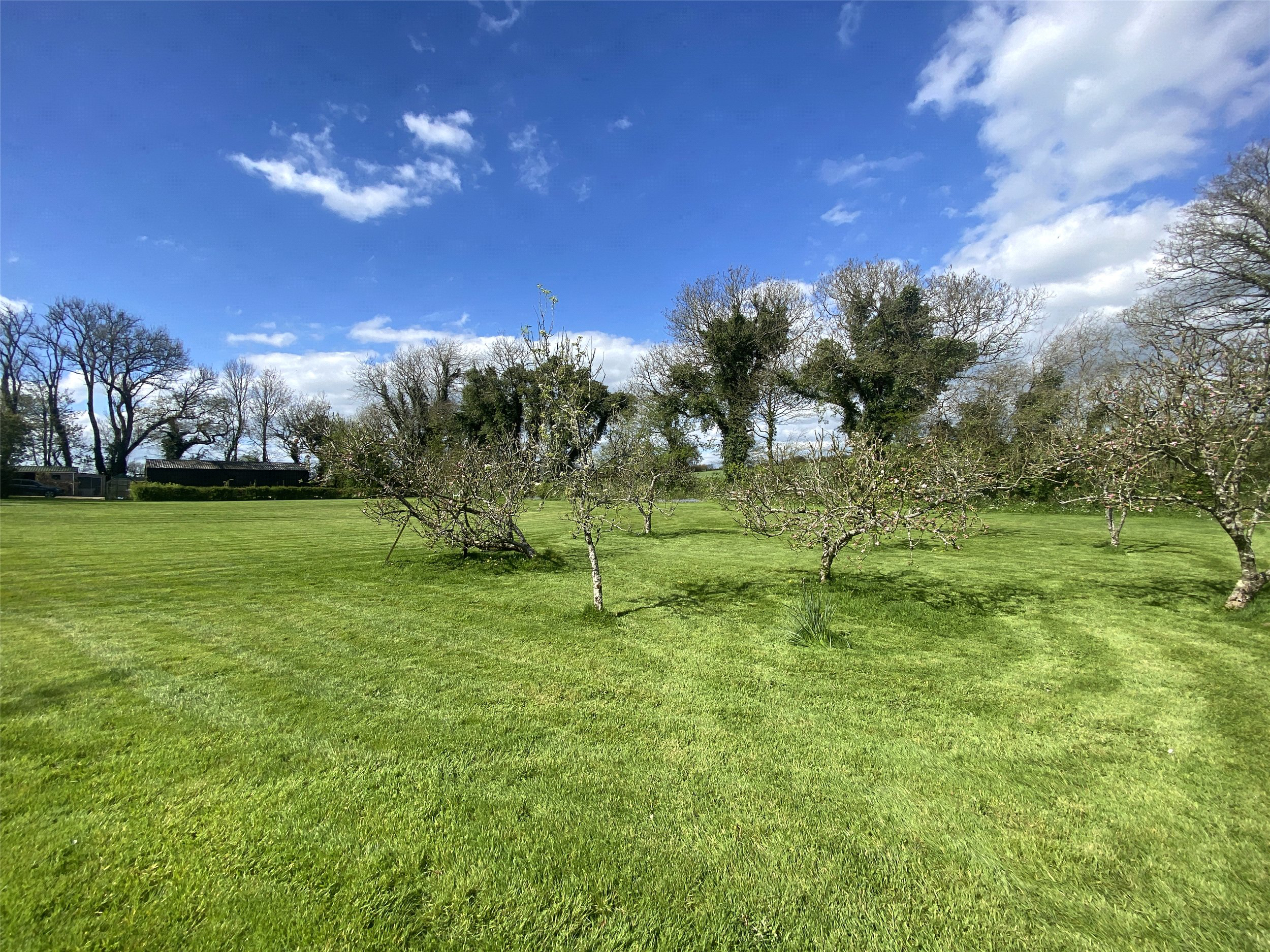 Coads Green, Launceston, Cornwall, PL15, photo 25