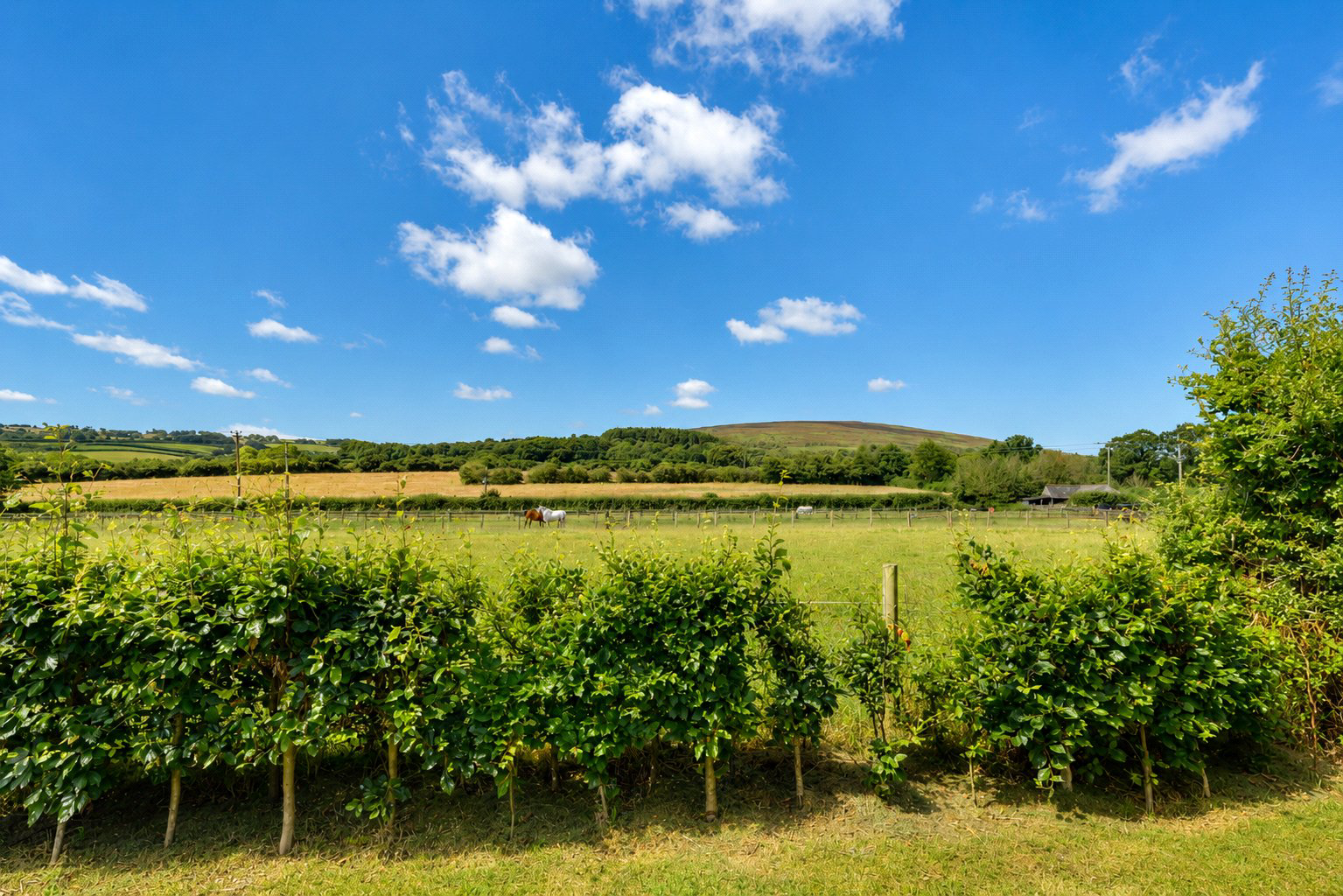 Brockwell Lane, Wootton Courtenay, Minehead, Somerset, TA24, photo 36