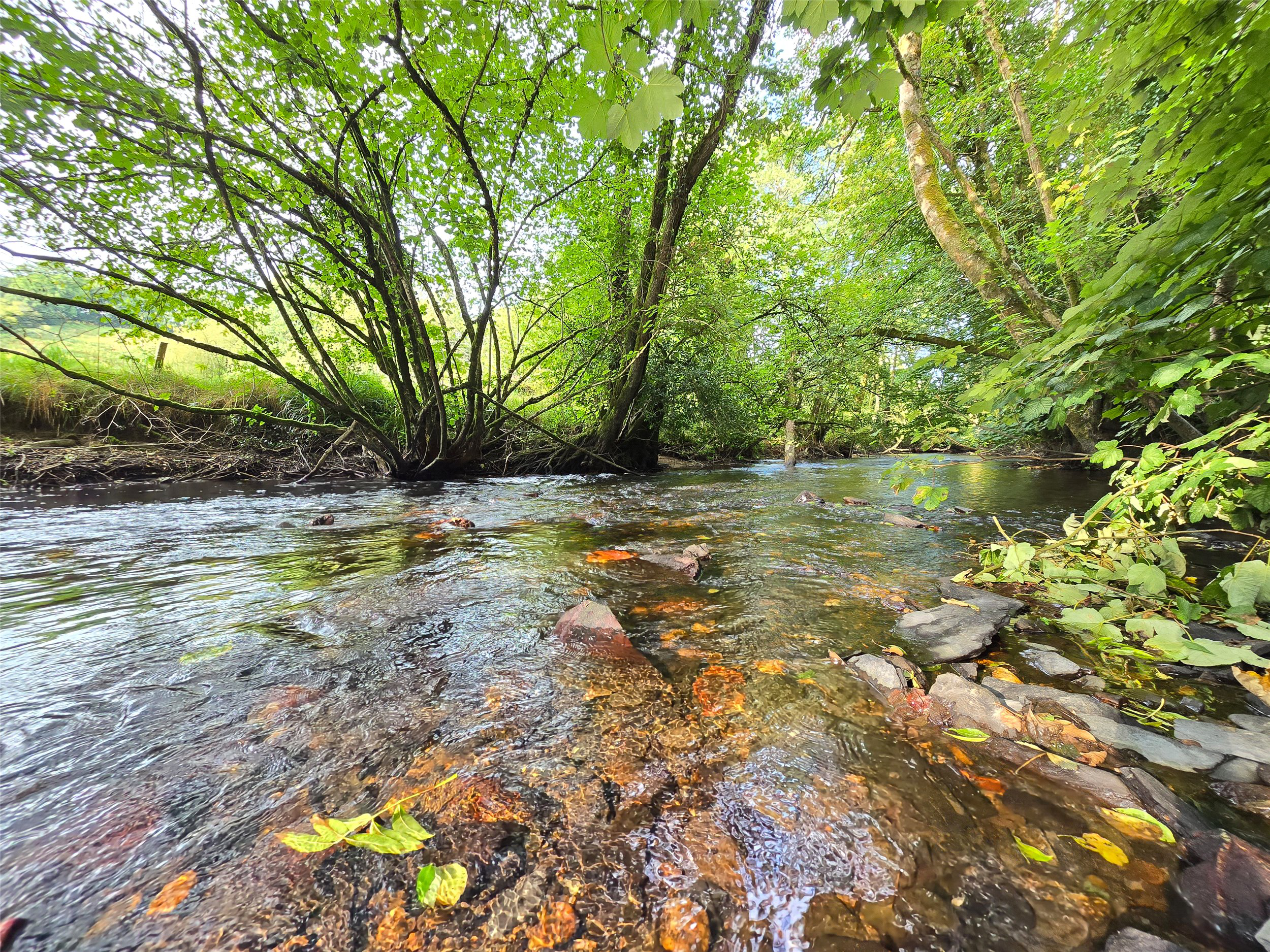 Beals Mill, Callington, Cornwall, PL17, photo 2