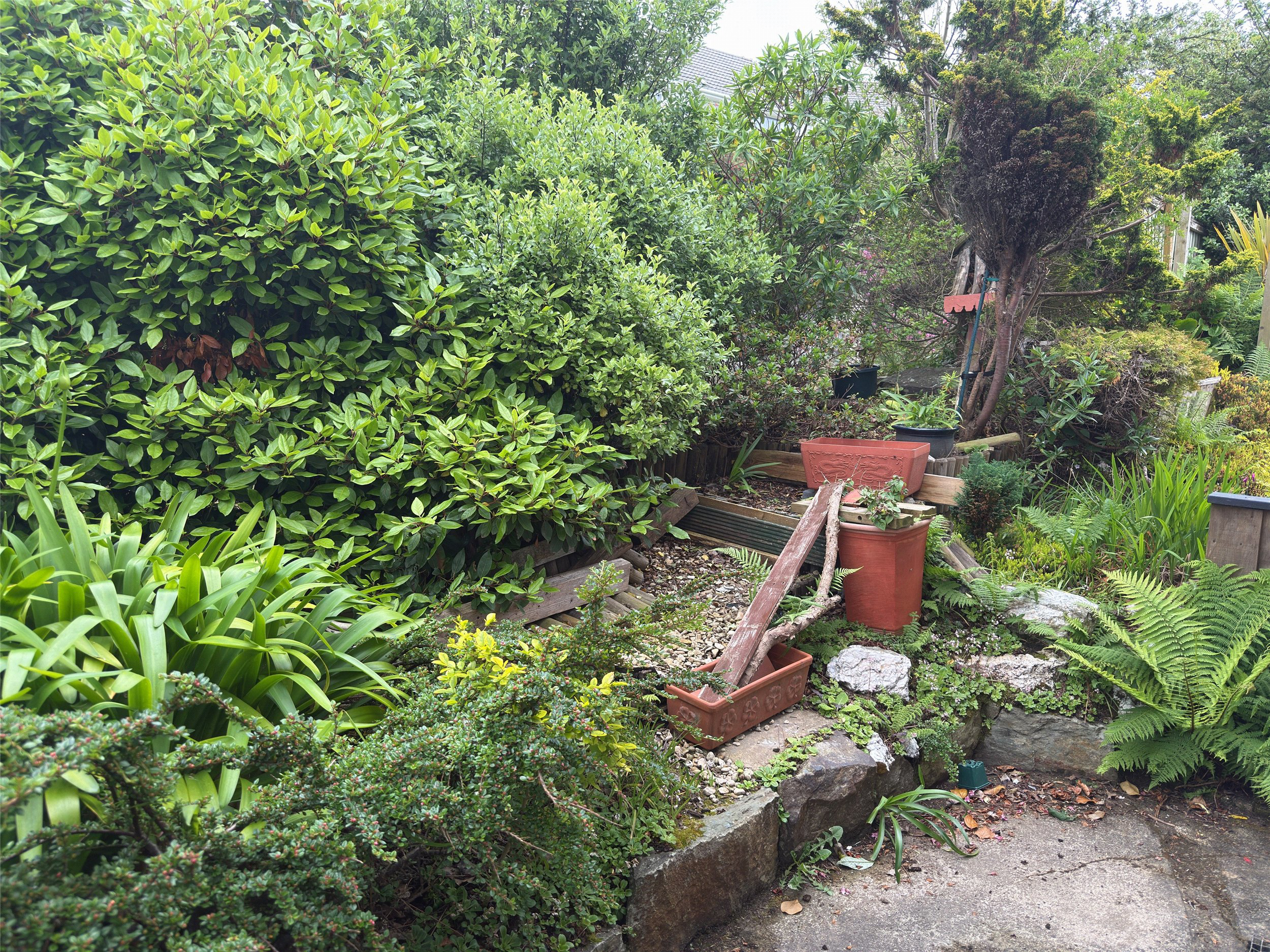 Photo 23