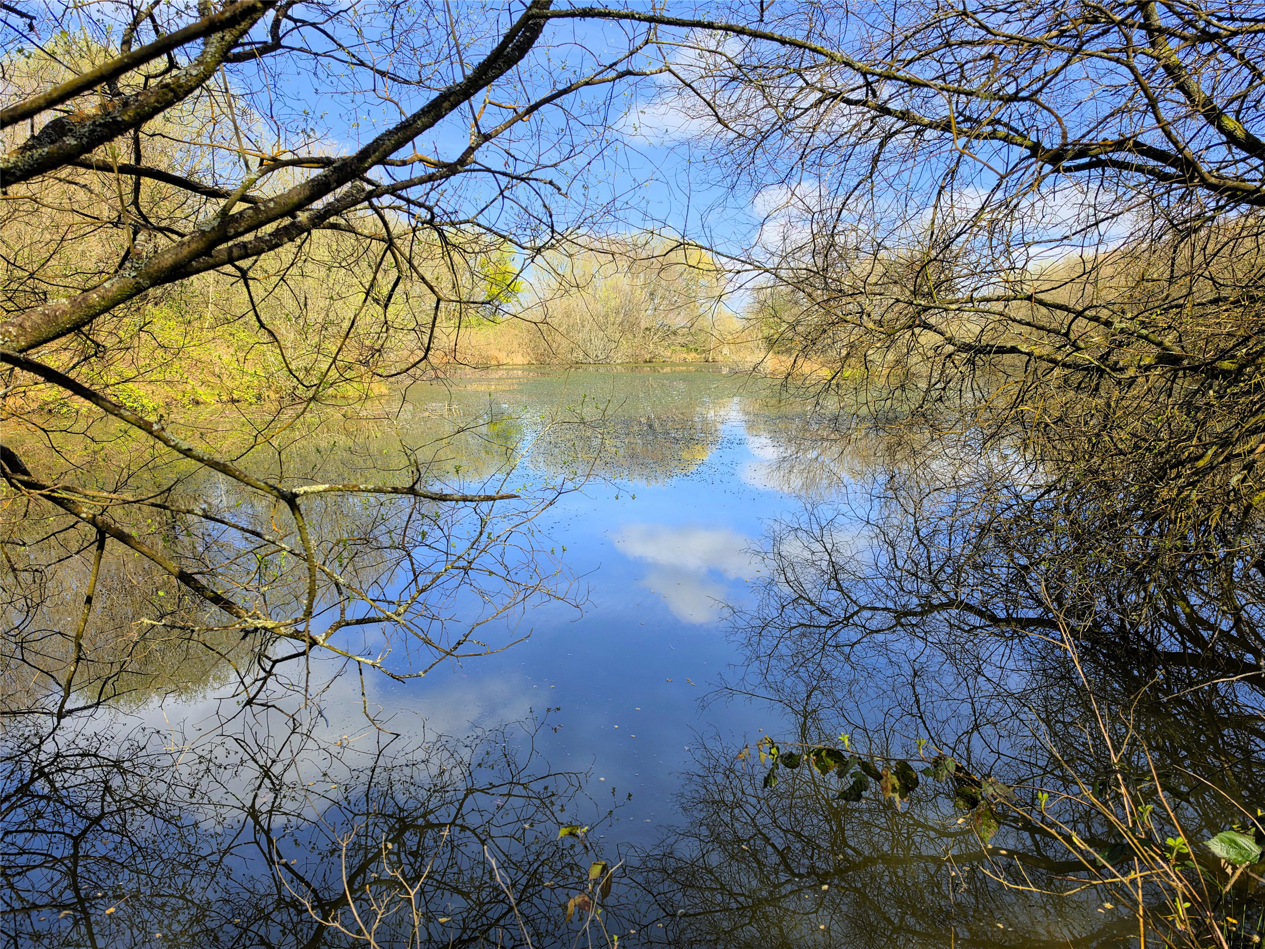 Roborough, Winkleigh, EX19, photo 19